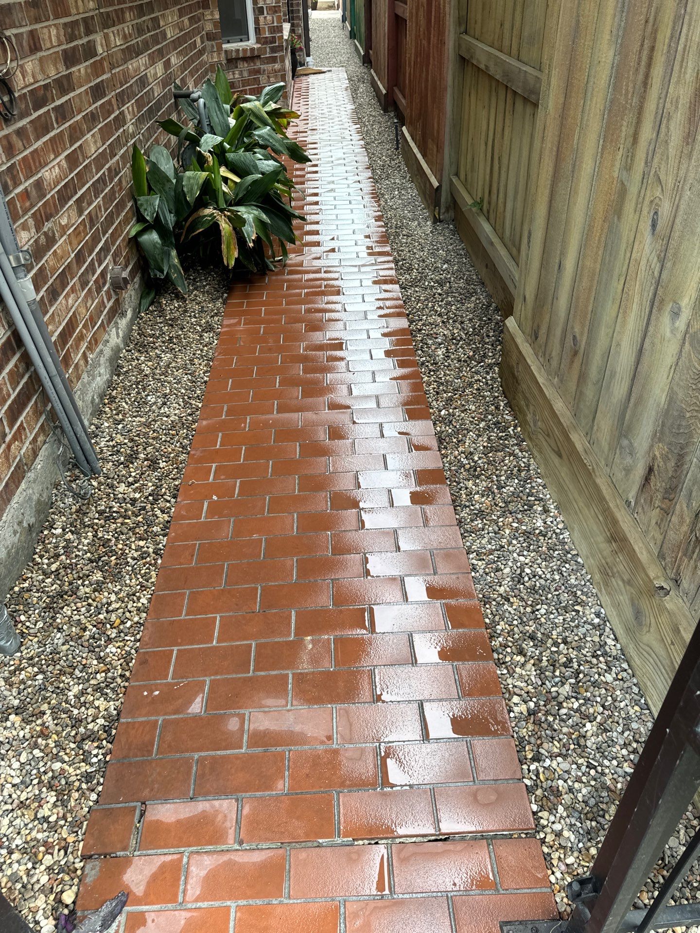 🌟 Blanca’s Backyard Patio Home & Drainage Upgrade by Texas Urban Elements