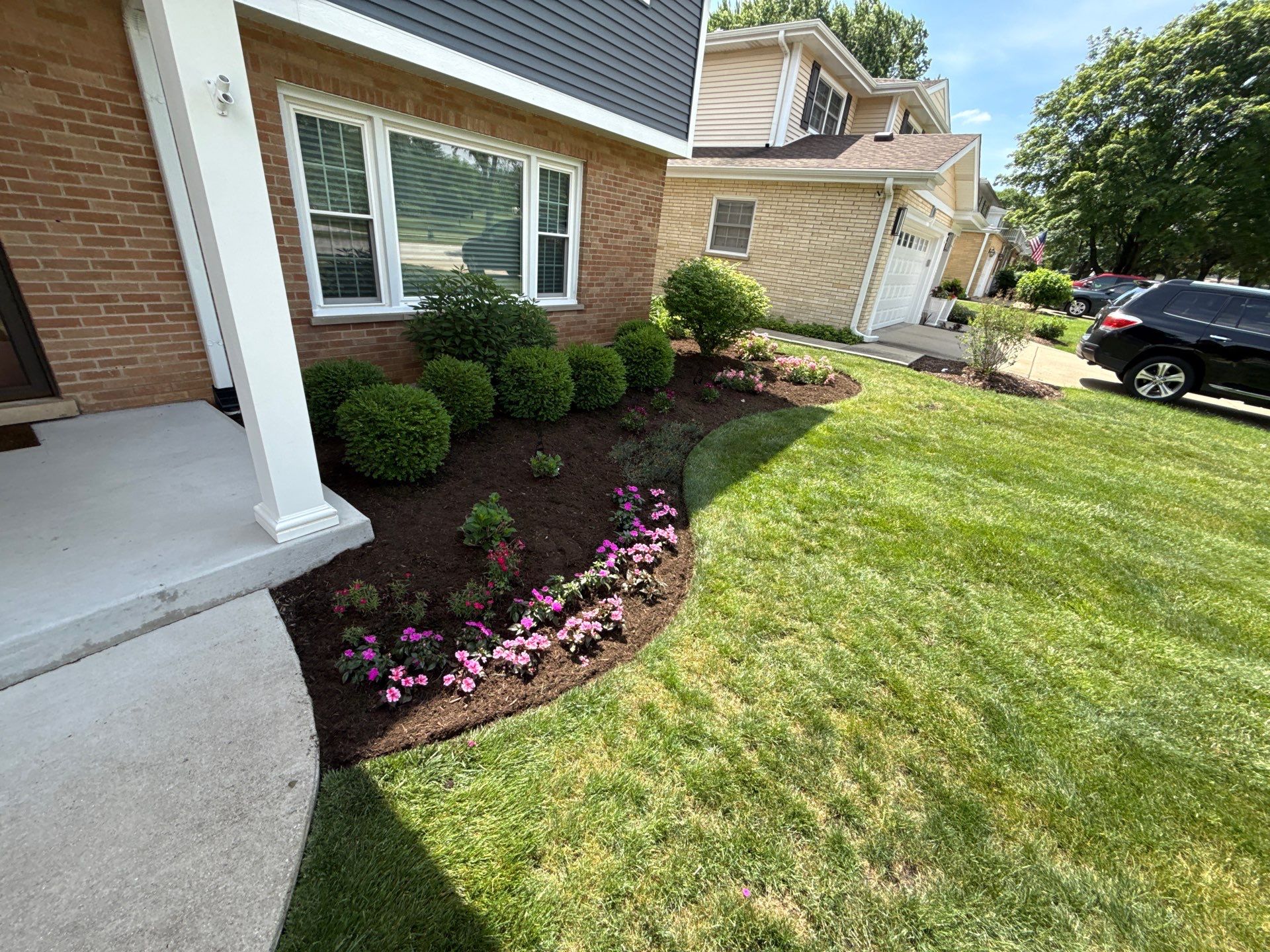 Clay U. - Arlington Heights, IL by A&N 