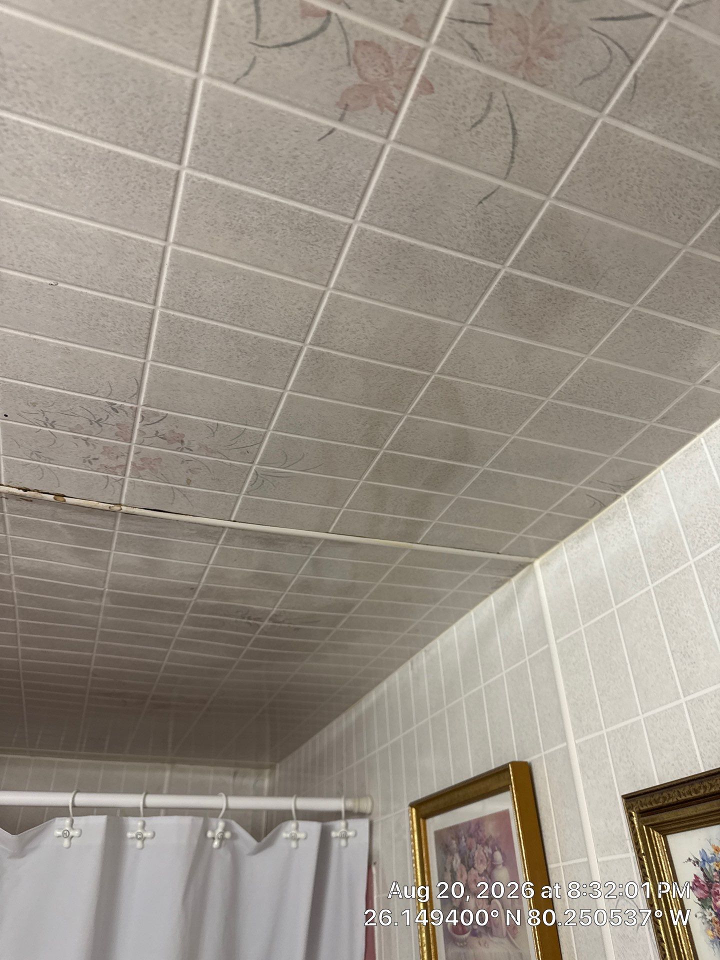 Water Damage Mitigation and Thermal Inspection in Plantation by SuperClean 