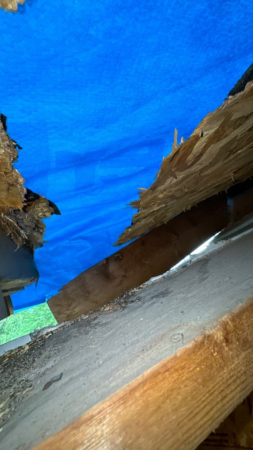 Falls Church: Residential Roof Replacement with CertainTeed Landmark Pro in Max Def Colonial Slate by RM Banning, Inc.