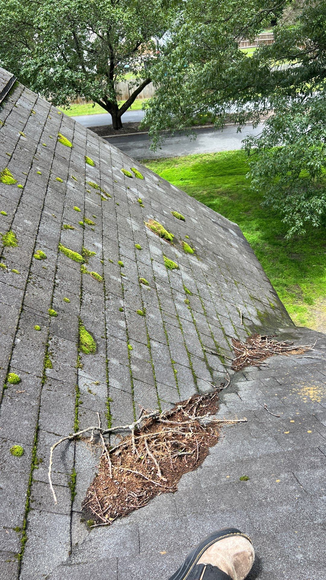 Project in Chester by Roof Maxx of Midlothian
