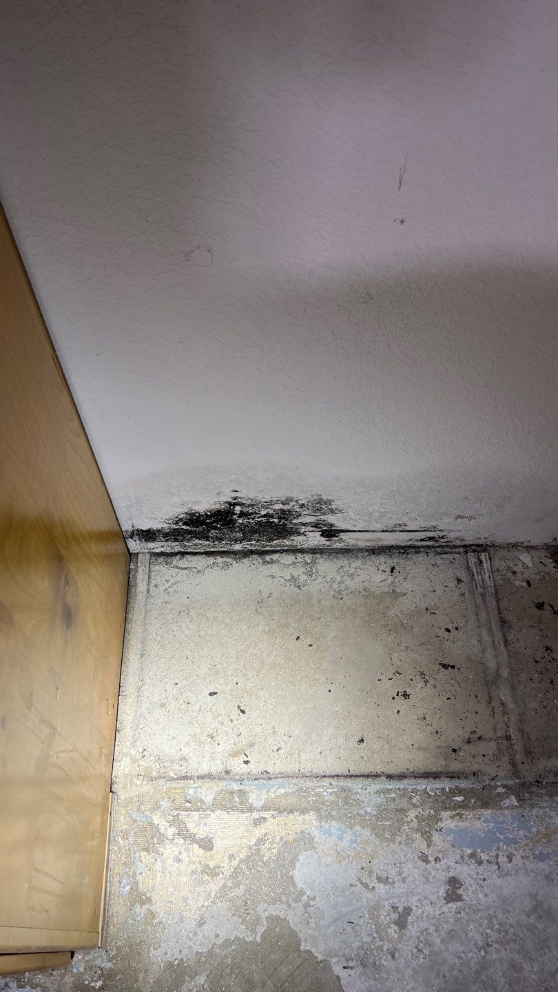 Water Damage by Accountable Home Services