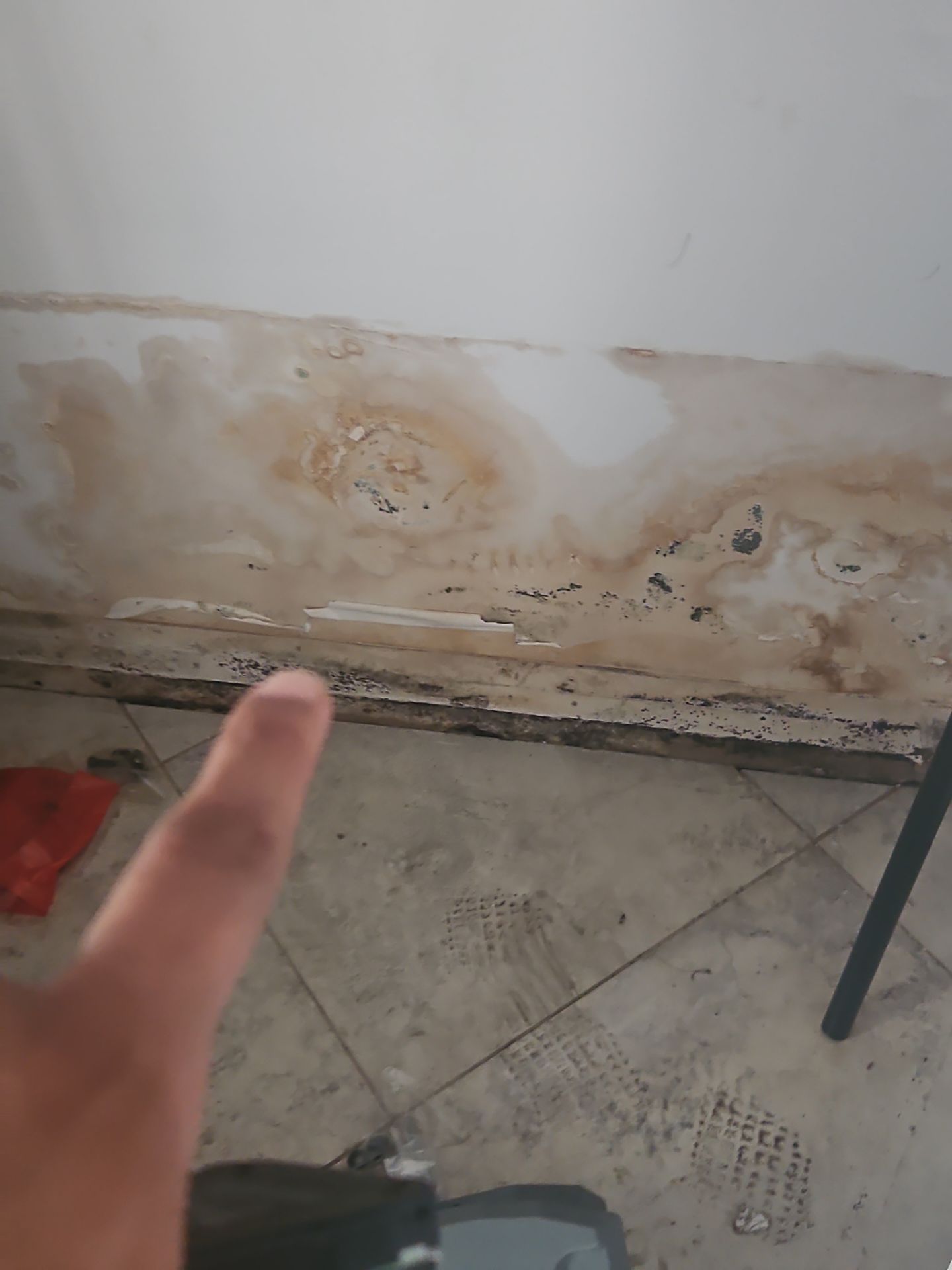 Storm Water Damage Sarasota by Ampm Restoration Services
