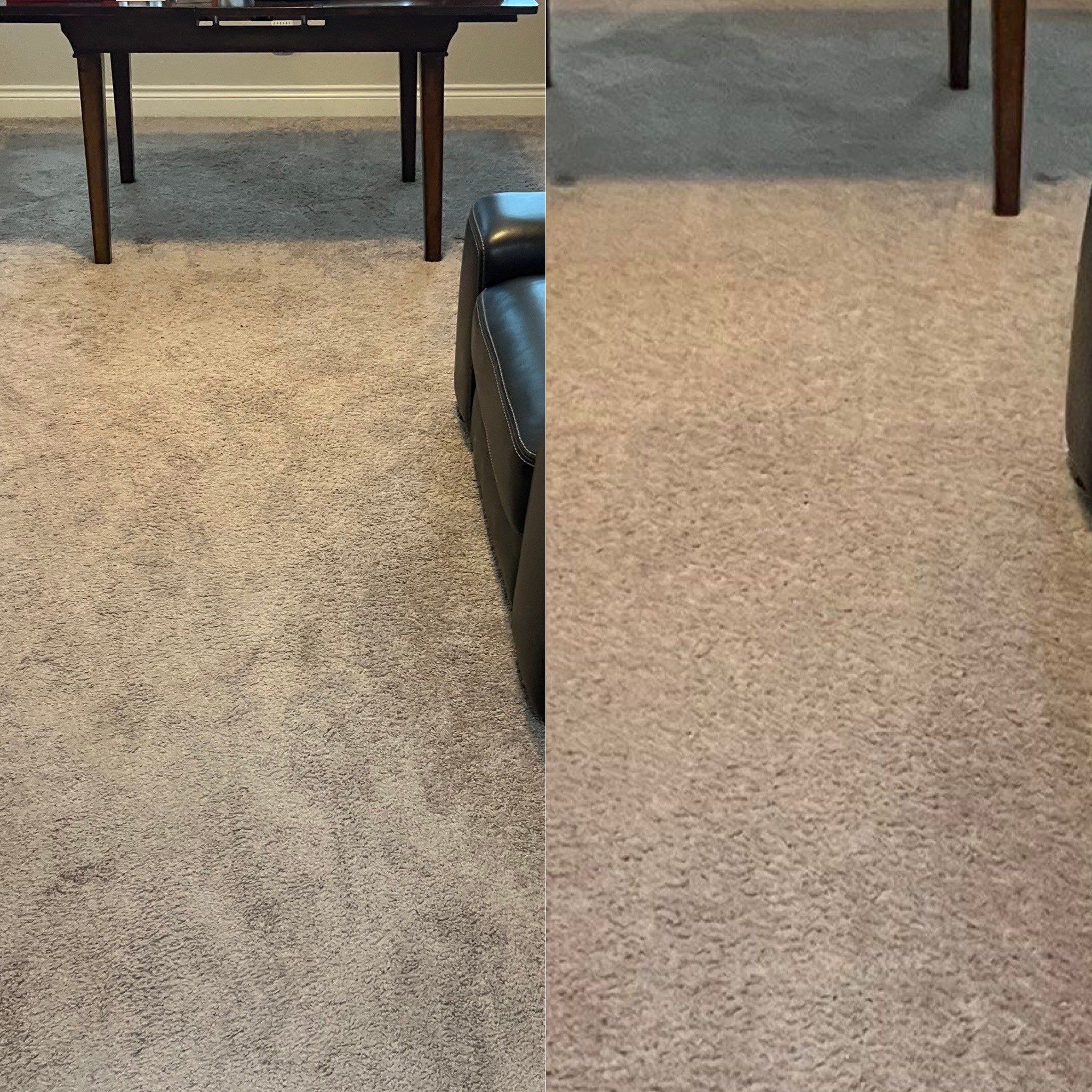 the service involves deep cleaning of carpeted surfaces removing dirt and stains for a fresh appearance throughout the area