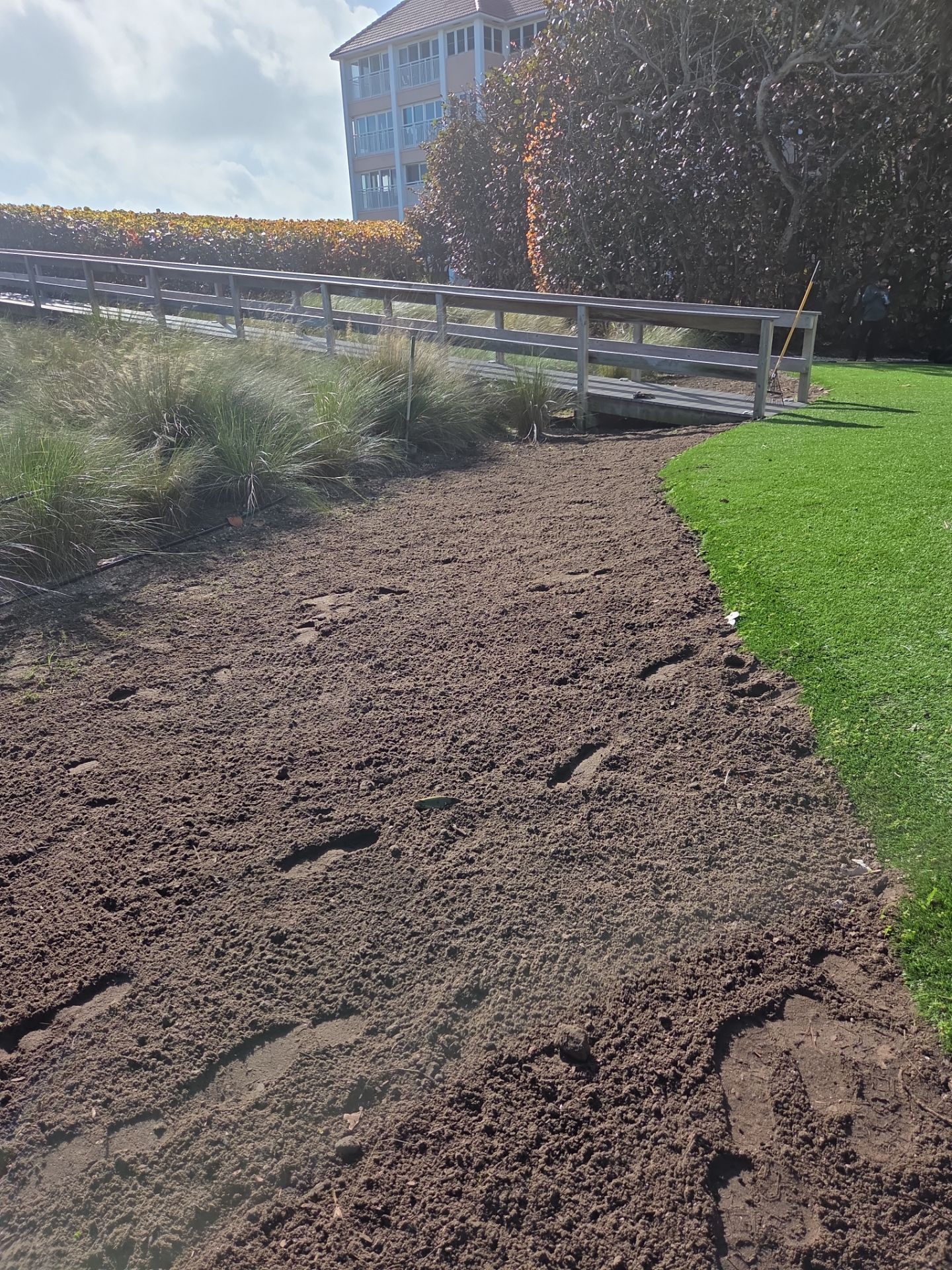 Hutchinson Island Oceanfront Landscape Restoration by Alpha Zeta Enterprises Inc