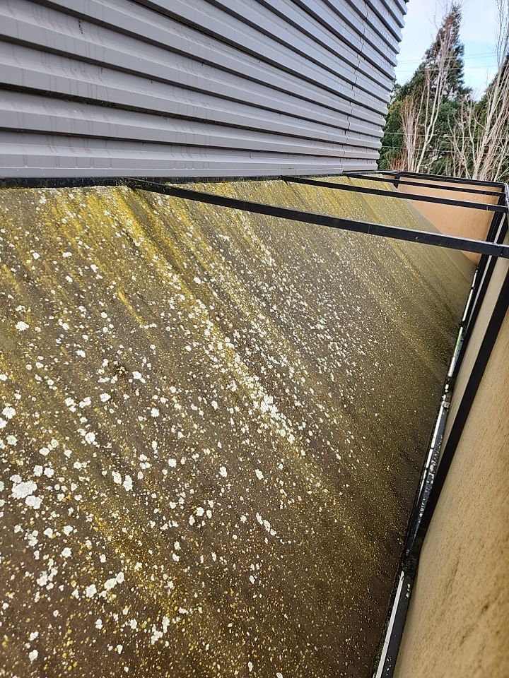 Soft Wash using Soft wash solution by Willamette Outdoor Wash LLC
