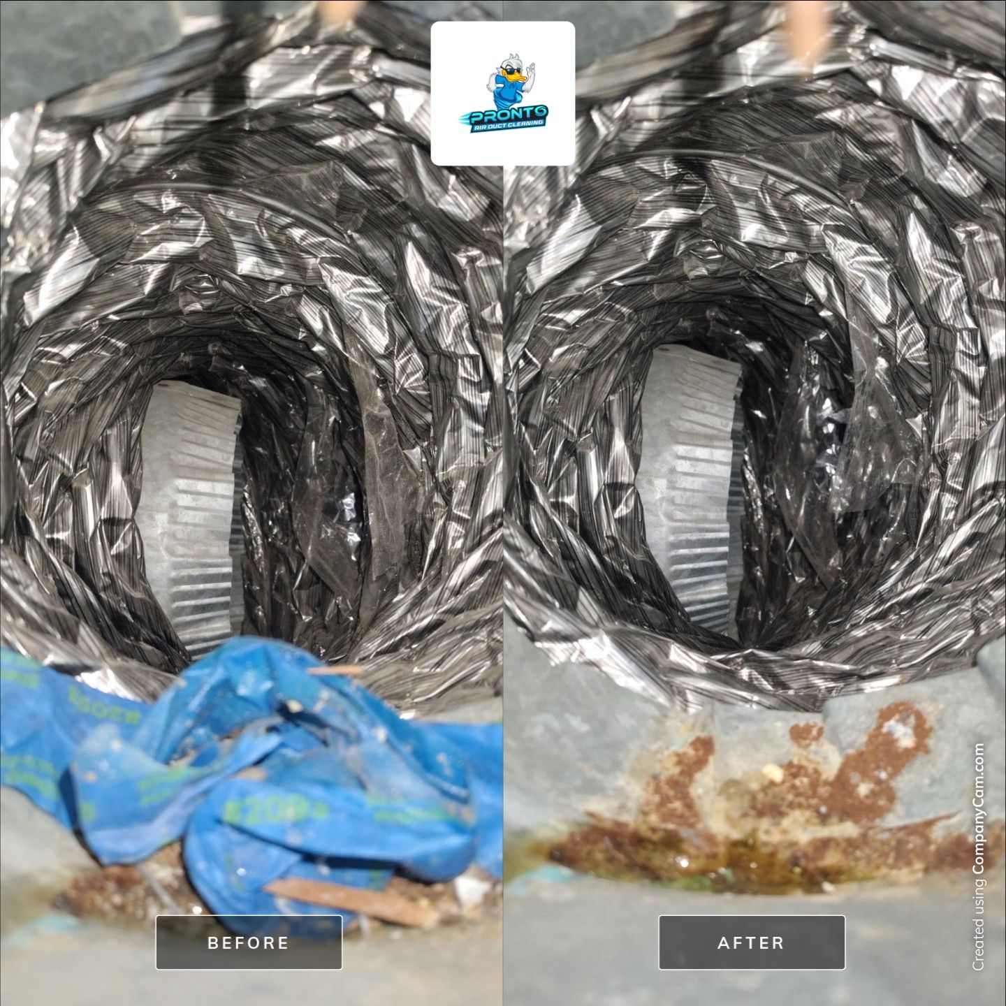 Air Duct Cleaning Manassas VA by Pronto Air Duct Cleaning