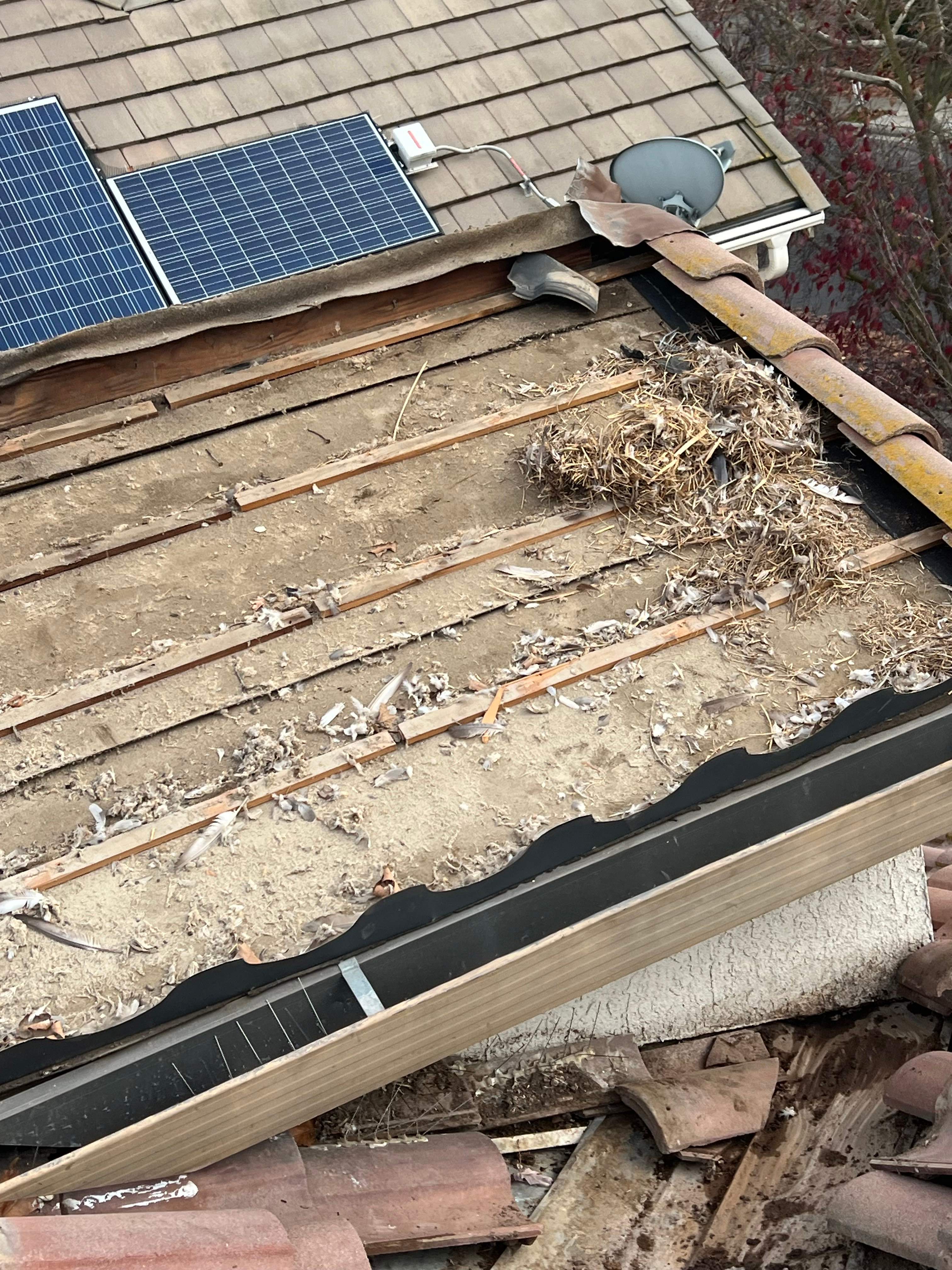 Tile Roofing Repair by Grandmark Service Company