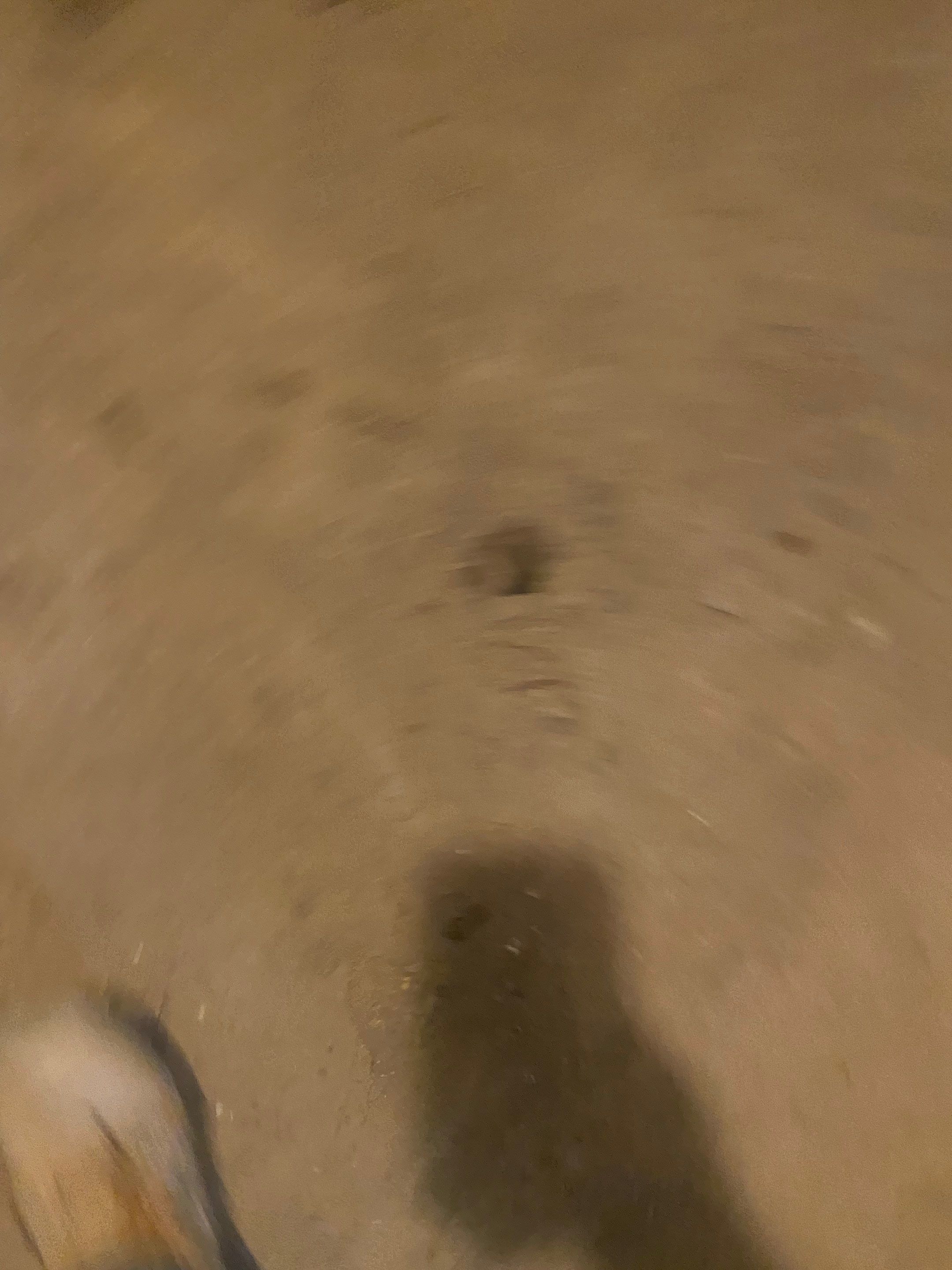 Interior French Drain & Wall Vapor Barrier in Newark, NJ  by Pure Service Pro, LLC 