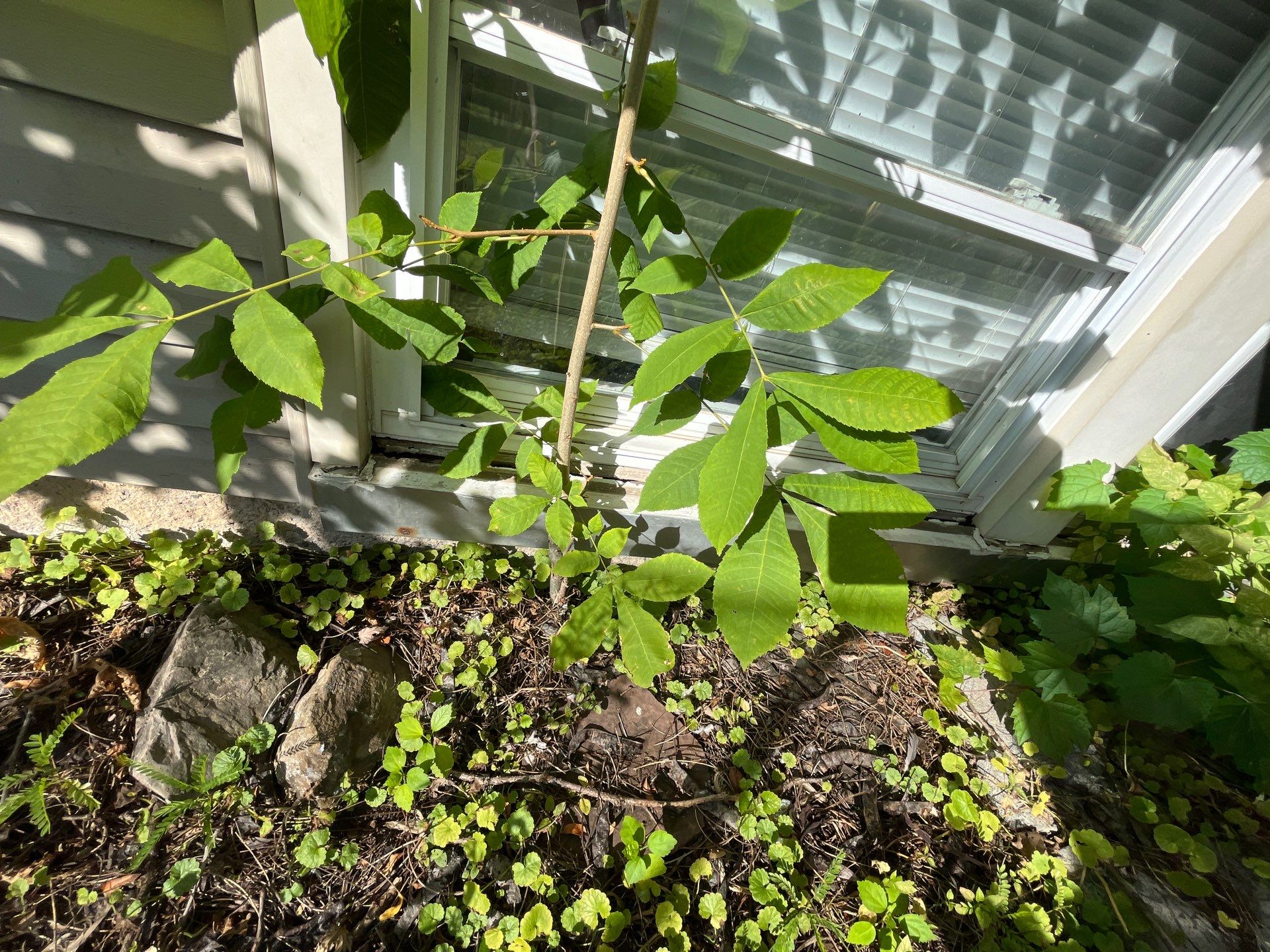 Inspección  by Mike home improvements 