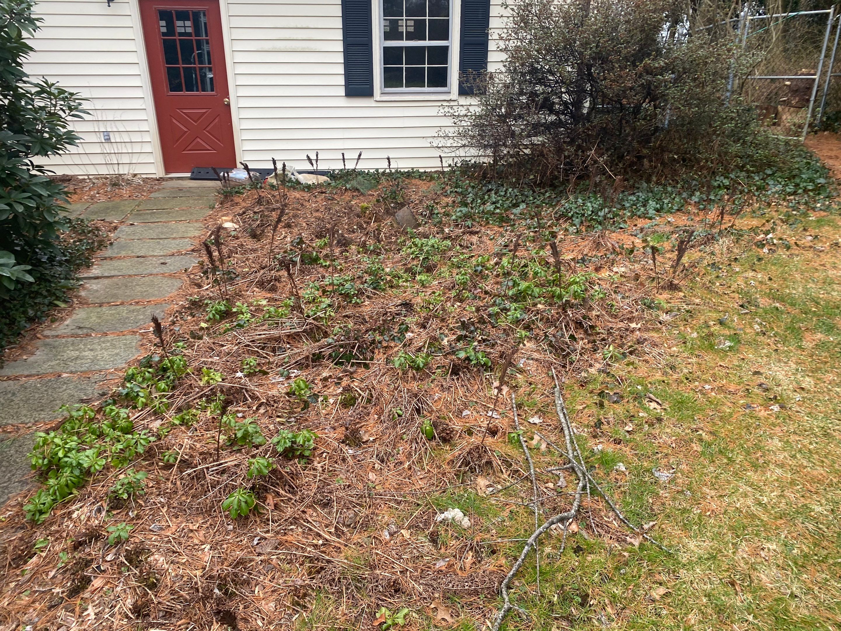 Landscape cleanup & drainage by The Smet Companies, LLC