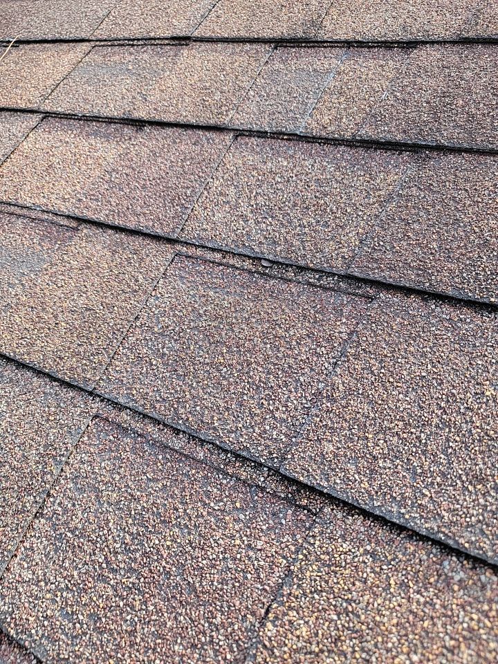Brand: Atlas Pinnacle Color: Pristine Scotchguard Hickory Drip: Royal Brown by Eagle Eye Roofing