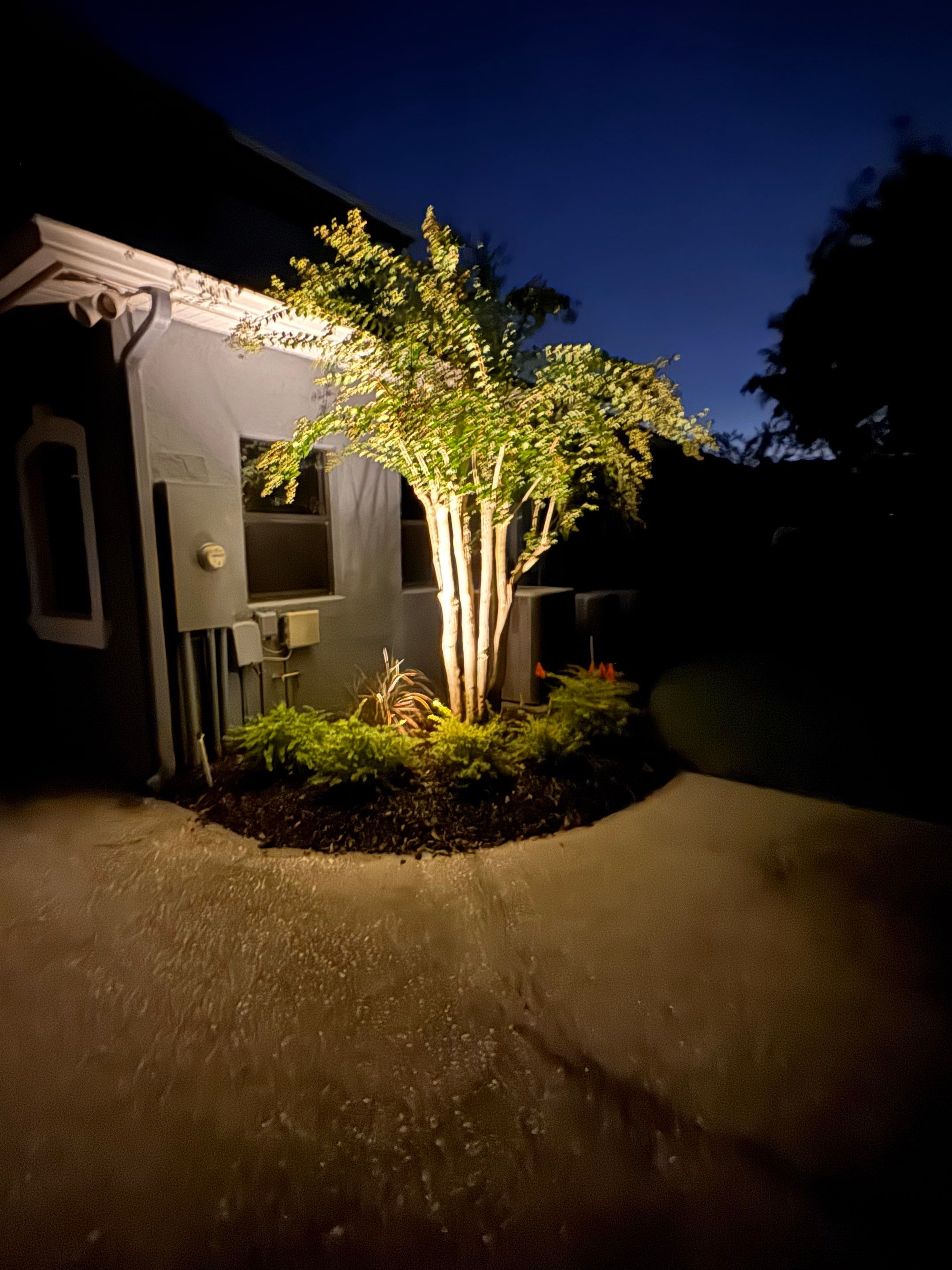Custom Architectural Landscape Lighting Installation for Tampa Residence by Elegant Accents