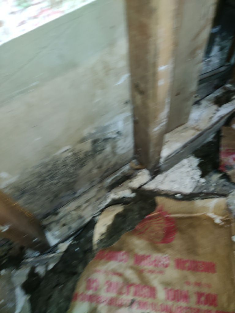 Mold Remediation in Basement by Accountable Home Services