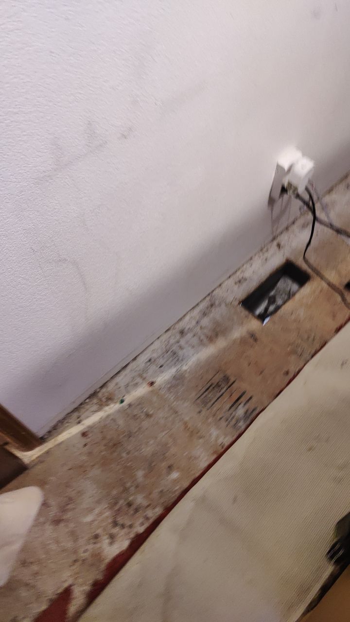 Water Damage  by Accountable Home Services
