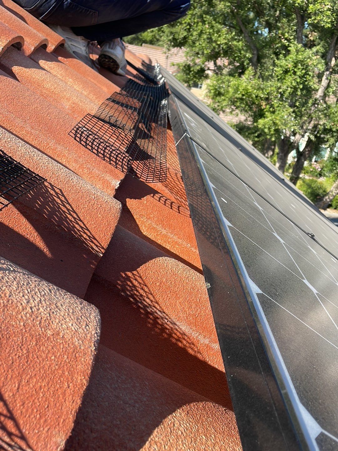 Solar Panel Bird Proofing using Critter Guard Mesh by All One Solar Shine