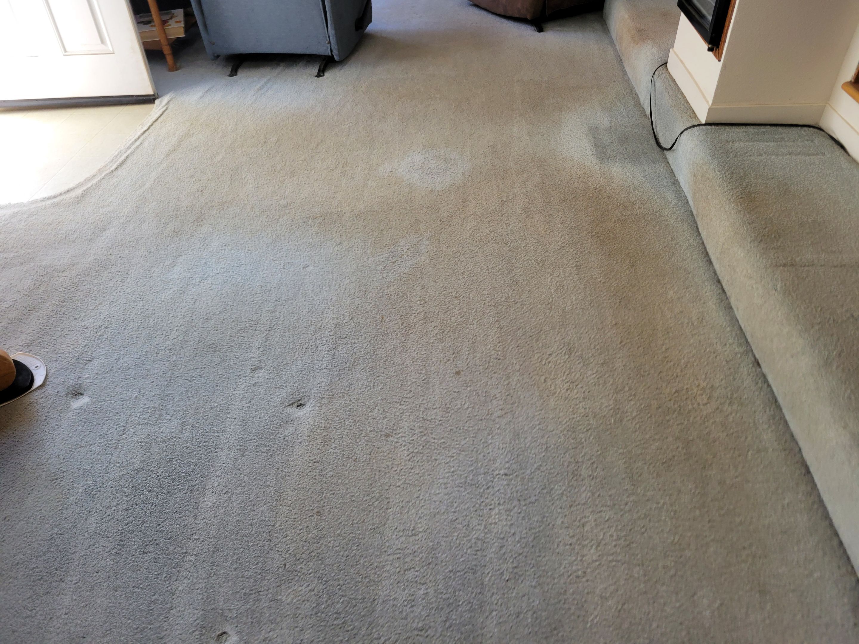 Overdue, Much Needed Carpet Clean by Ardent Carpet Restore LLC