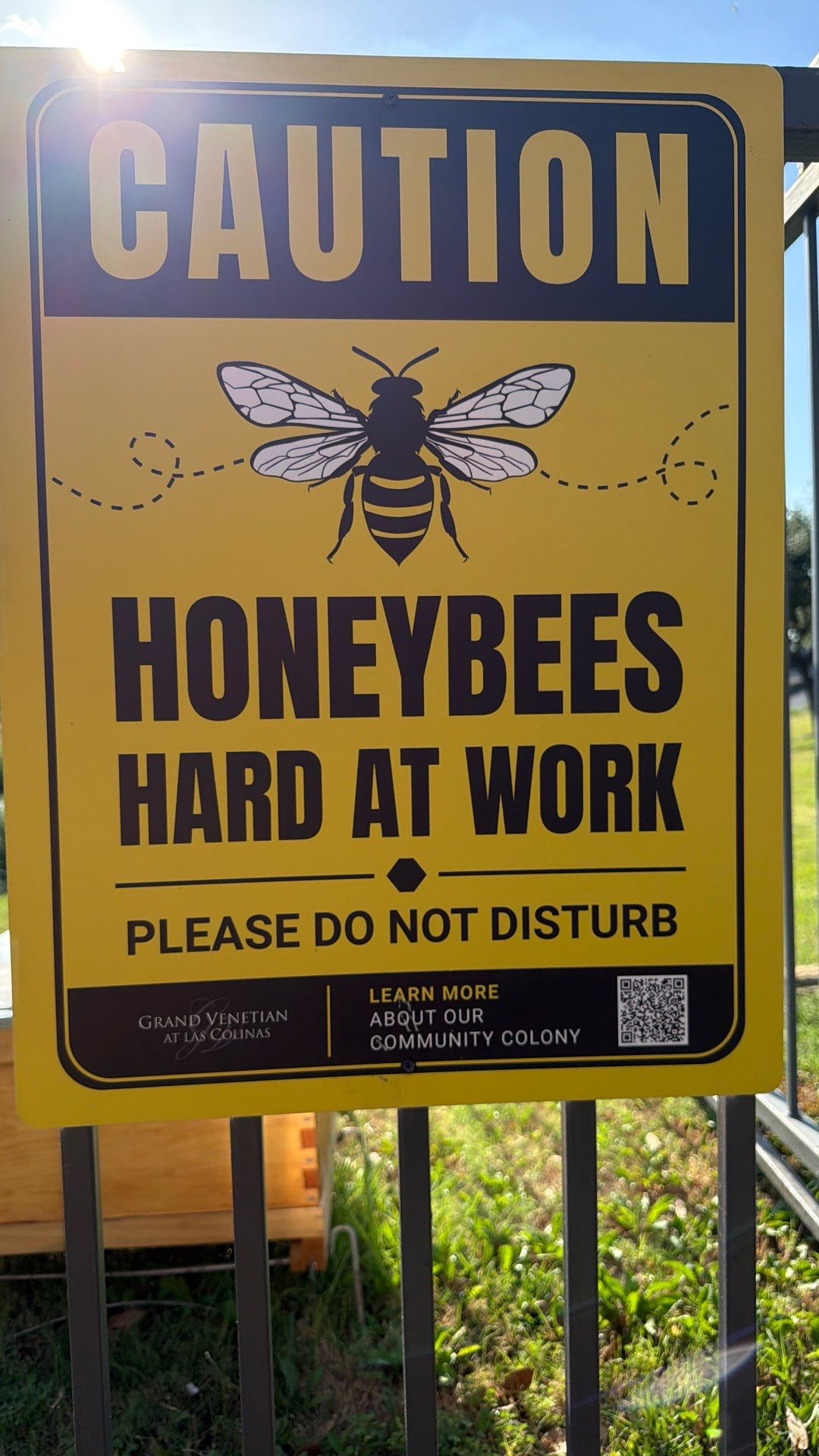 Poolside Bees at Apartment Complex by Rockwall Honey Bee Company
