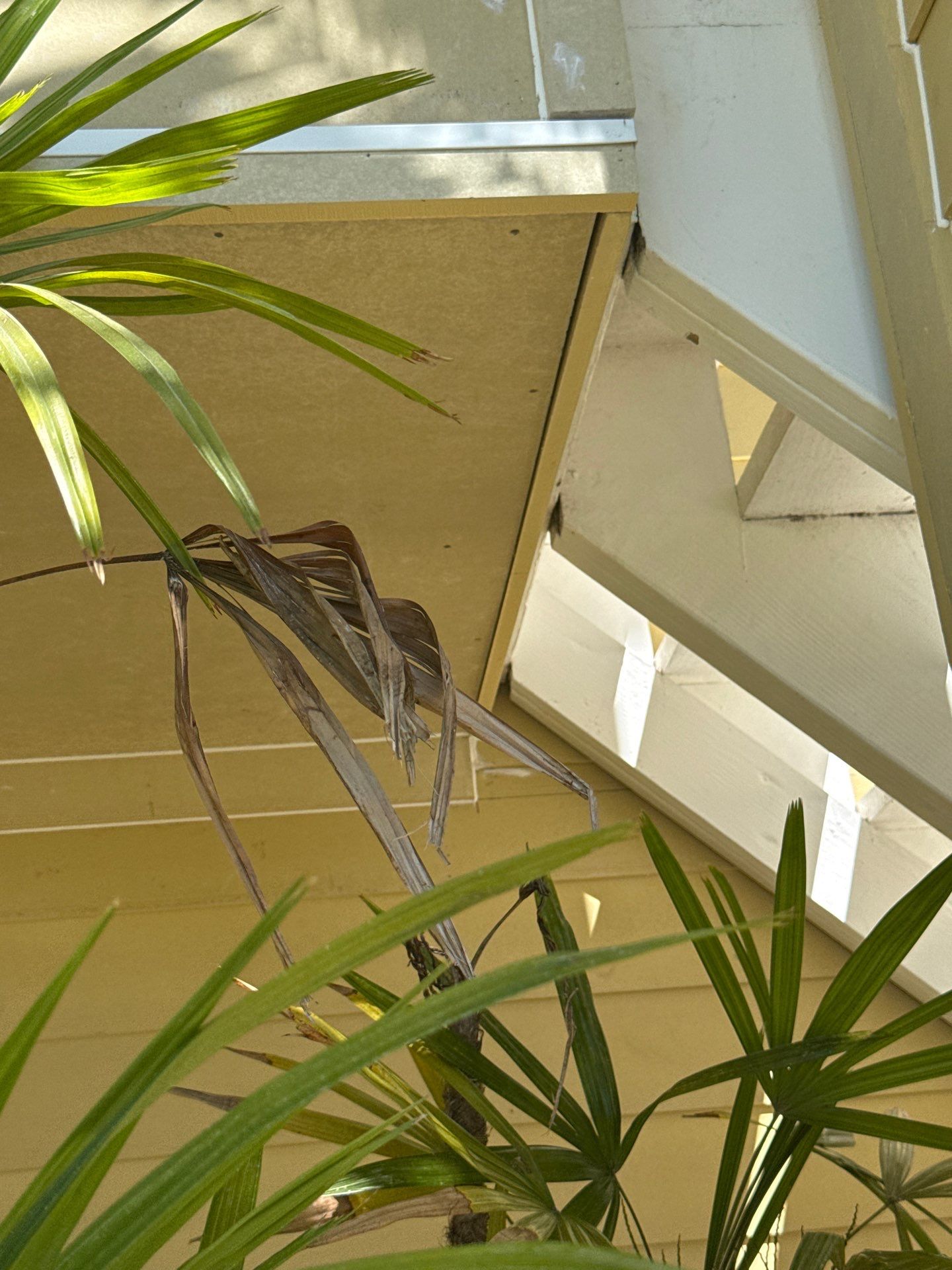 Project in St. Pete Beach by Bayshore Exteriors