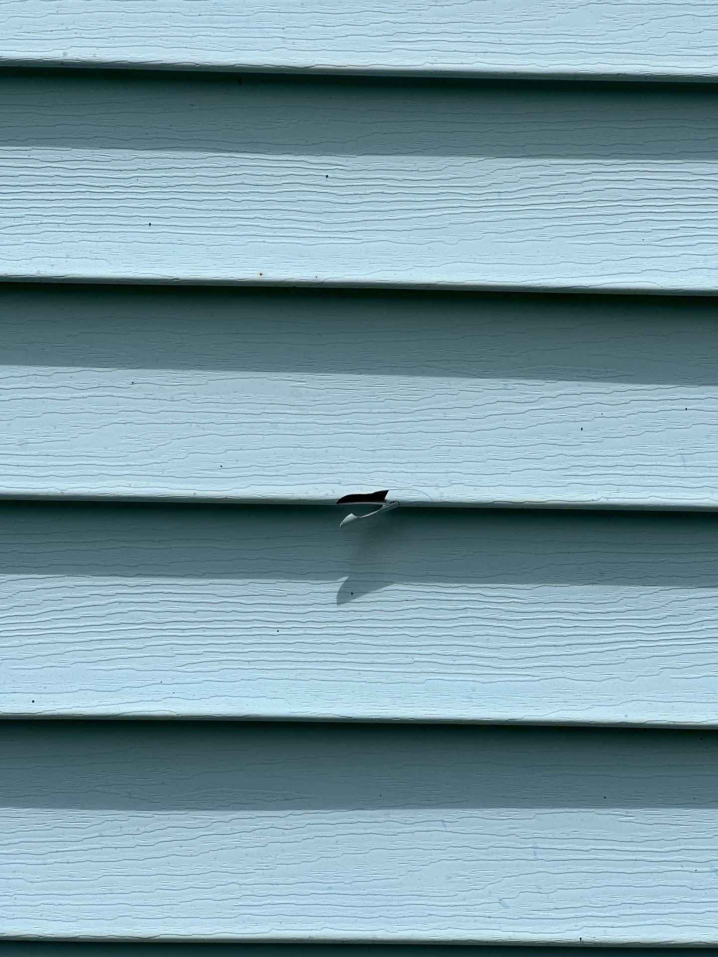 Solid Hail Damage - 3 Tab by Paragon Roofing