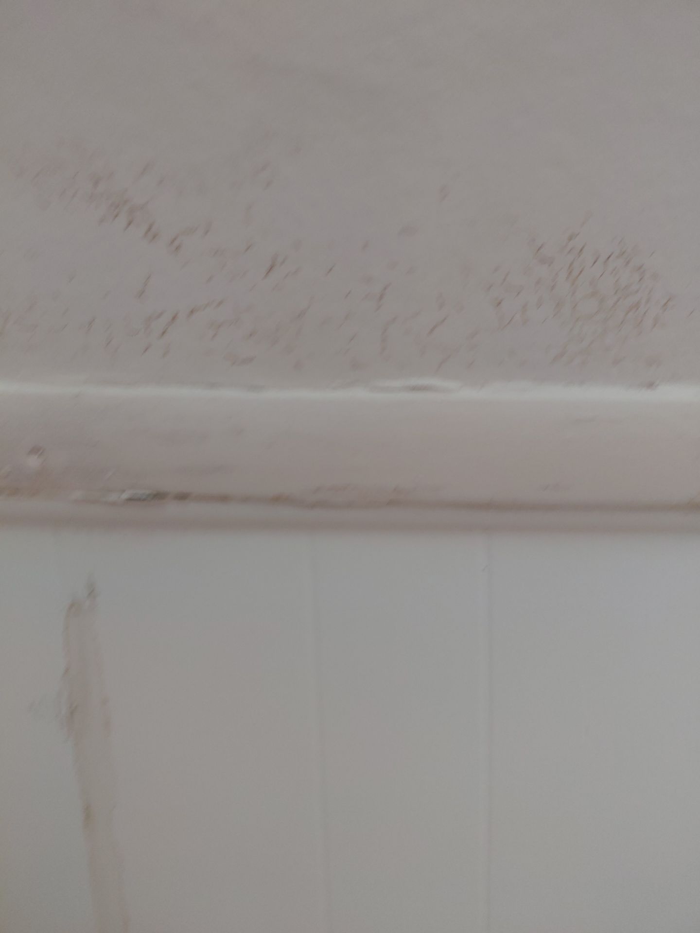 Arlington: Residential Roof Replacement with CertainTeed Landmark PRO in Max Def Colonial Slate by RM Banning, Inc.