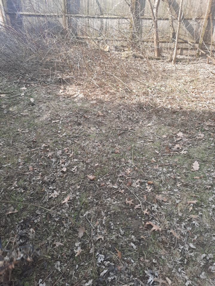 Tree Removal using Tree Removal by Mike Jones & Sons Tree Service LLC 