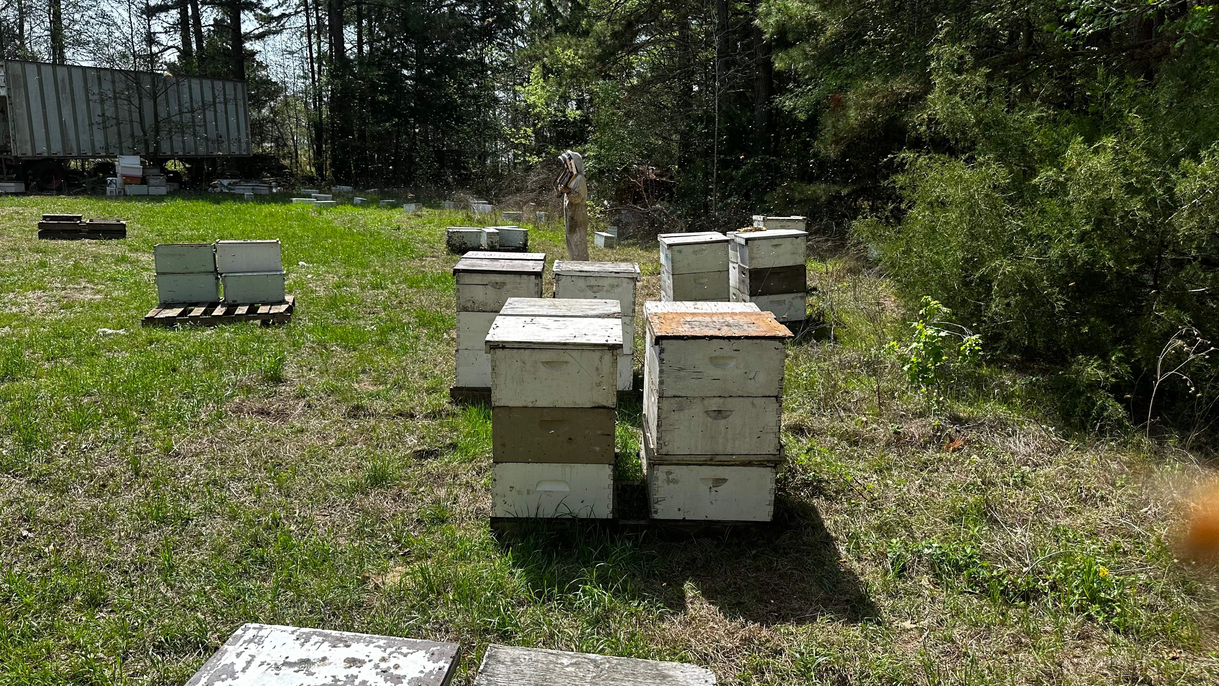 Traylor's Hay Meadow Apiary by Rockwall Honey Bee Company