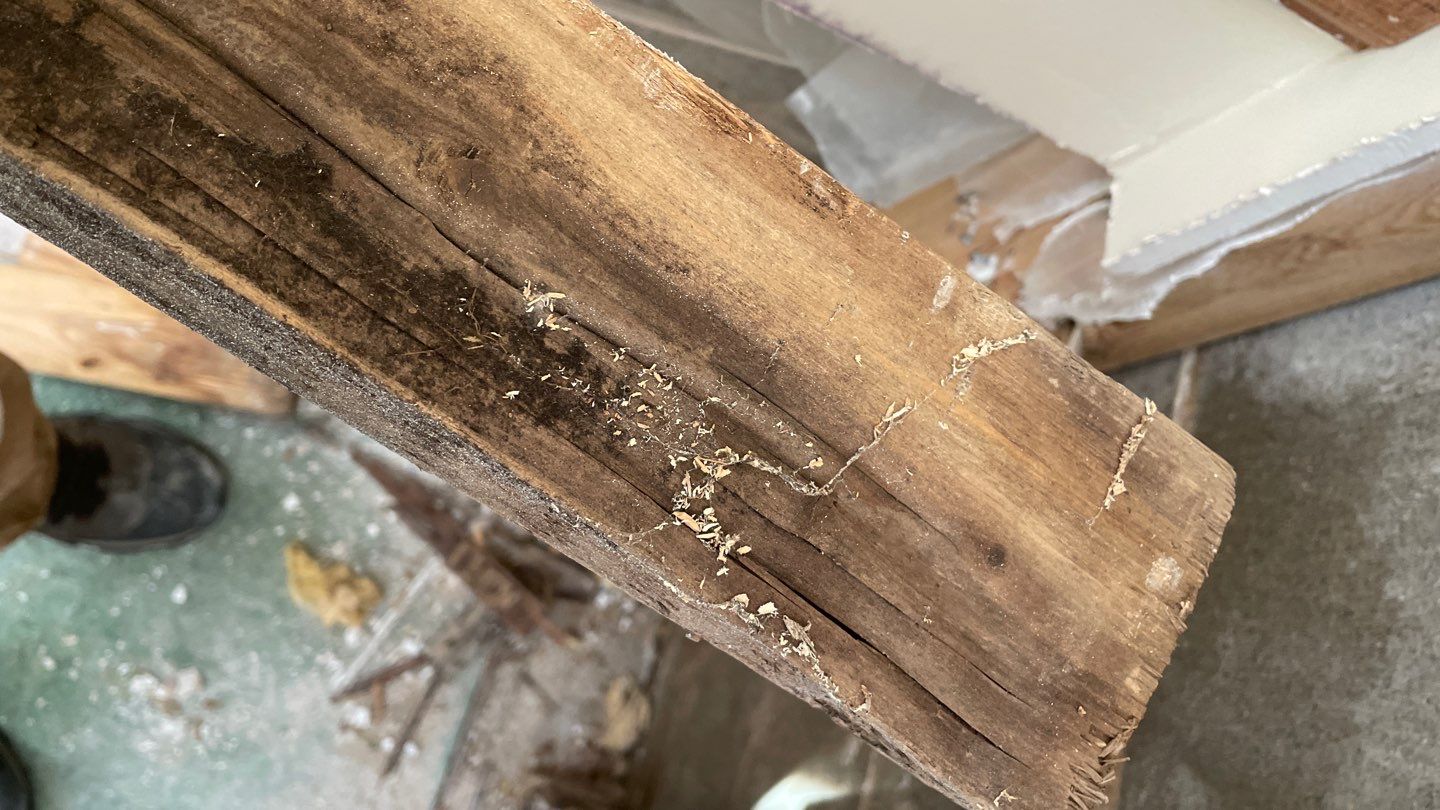 Retrofitting Drainage Board in Lino Lakes by Waterproofing Northeast
