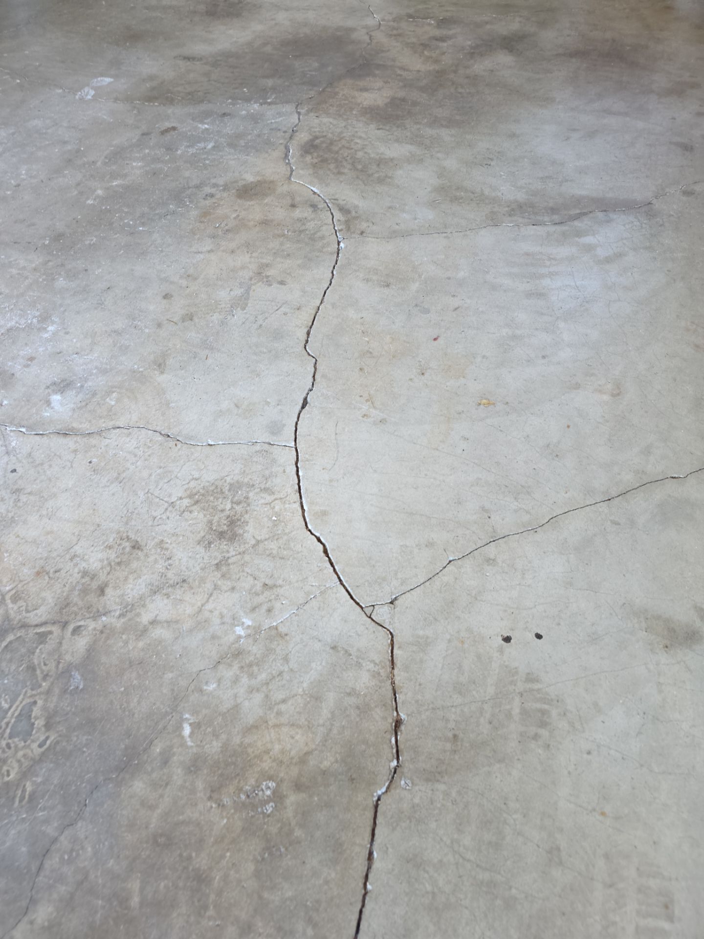 Polyurea Garage Floor Coating with Cabin Fever Decorative Chips in Cambria by MGP Coatings