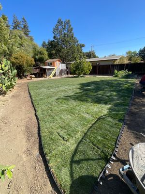 Project in Concord
