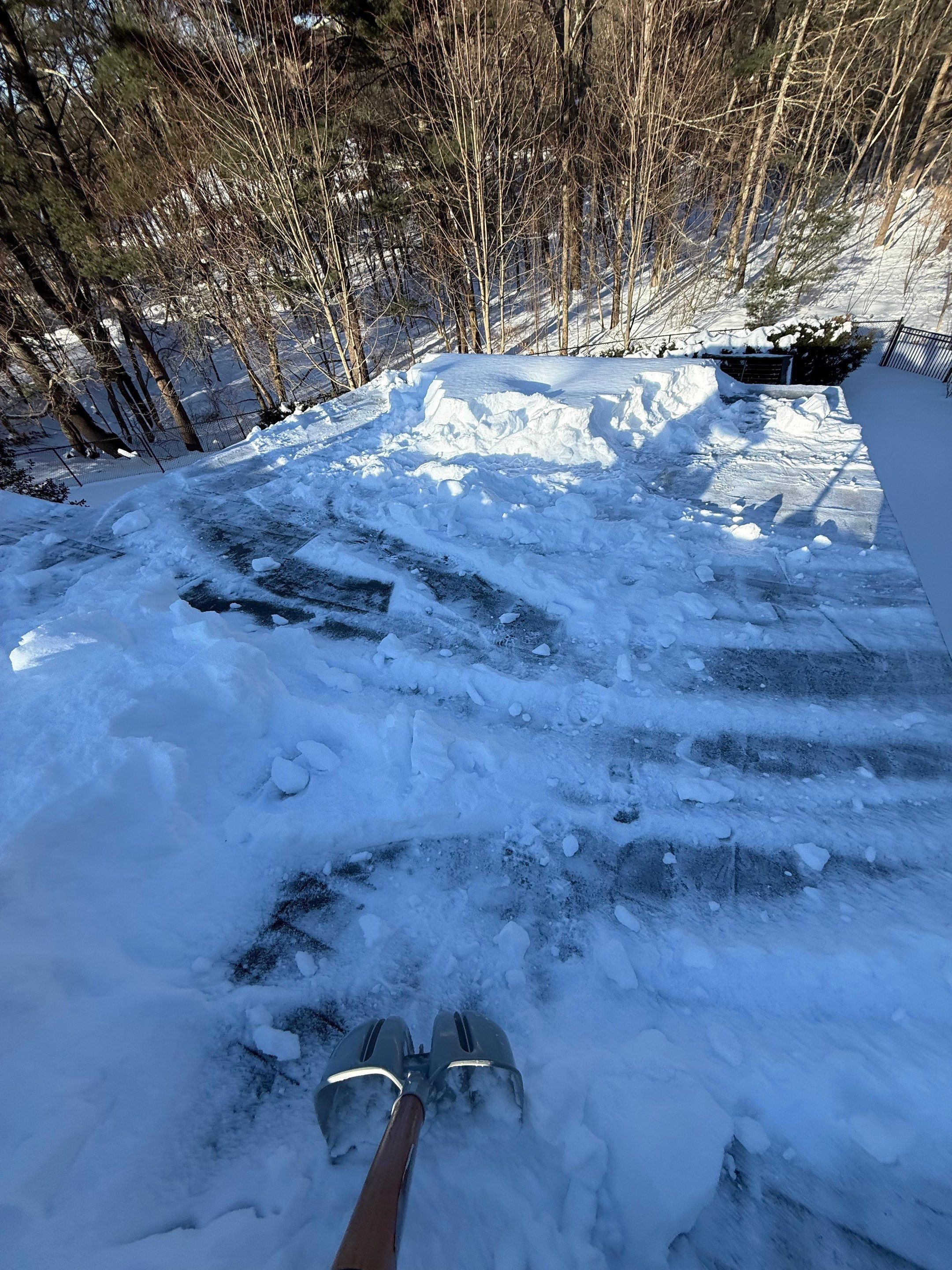 Sow Removal by Mighty Dog Roofing of Greater Middlesex County