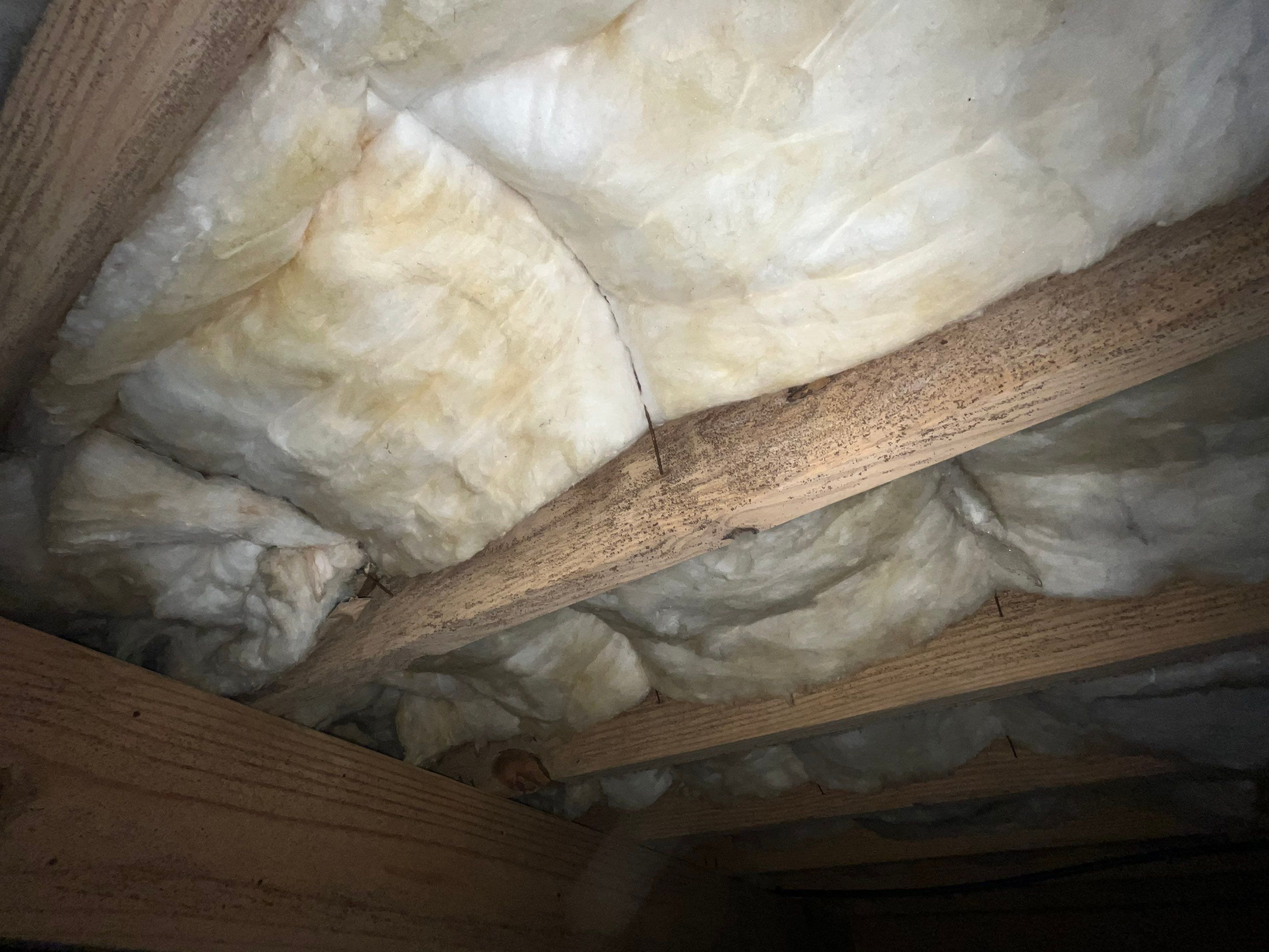 Impact Choice Encapsulation with French Drain, Mold Removal, and Crawlspace Door by Impact Crawlspace