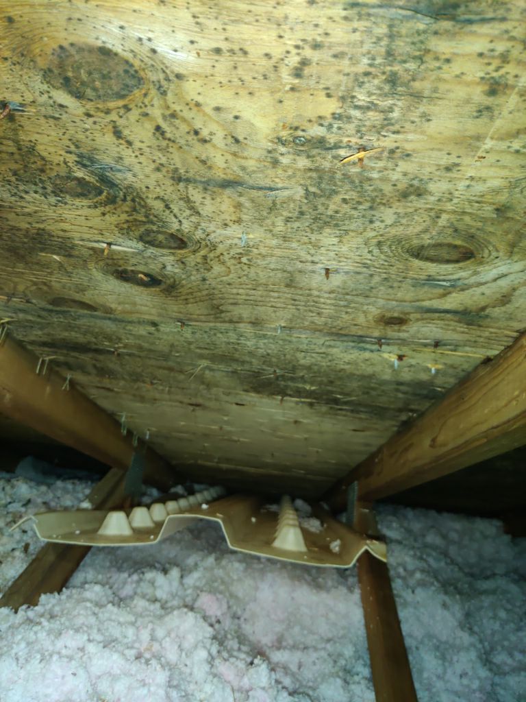 Mold Remediation in Attic by Accountable Home Services