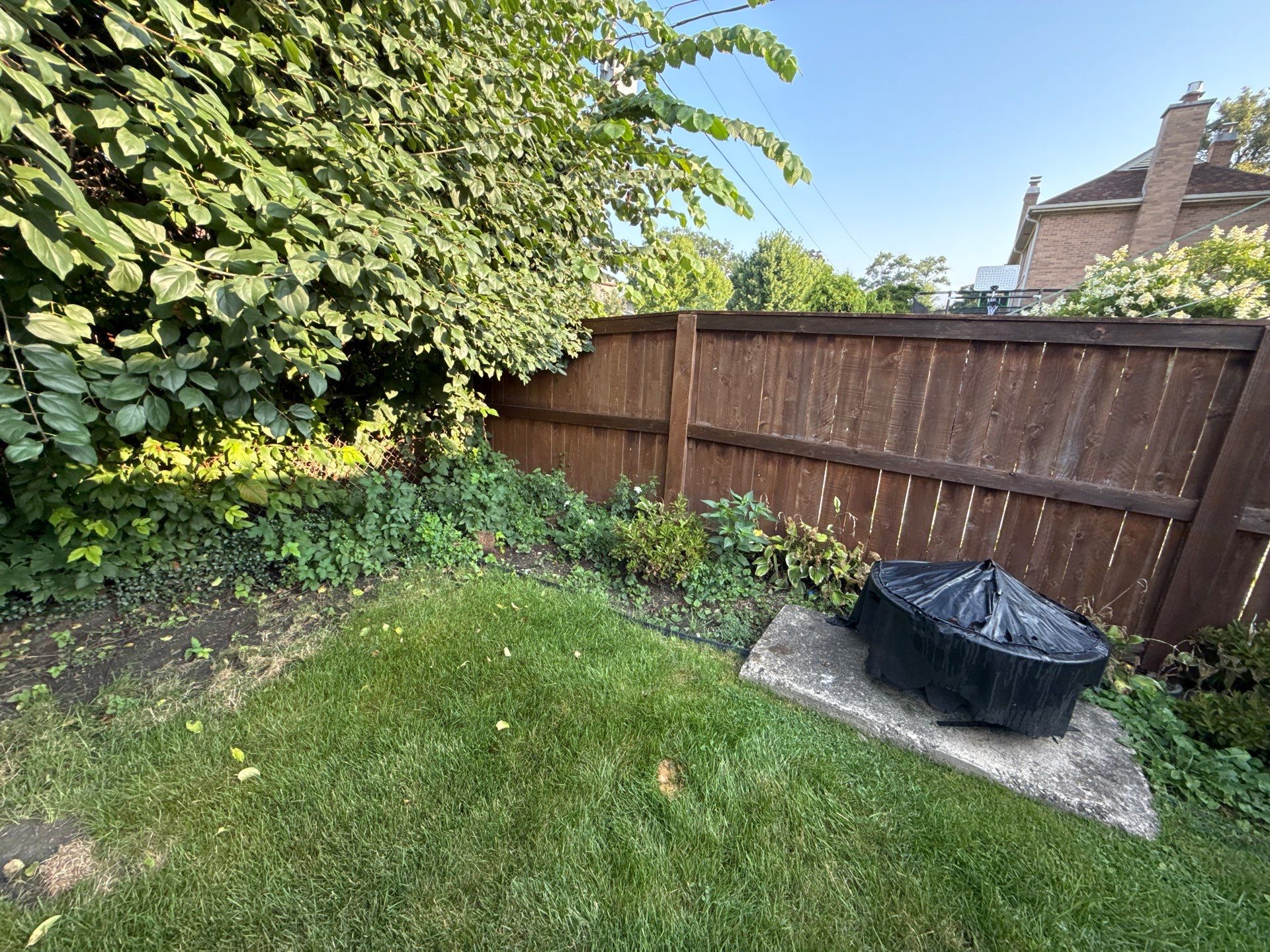 Nancy M. - Park Ridge, IL by A&N