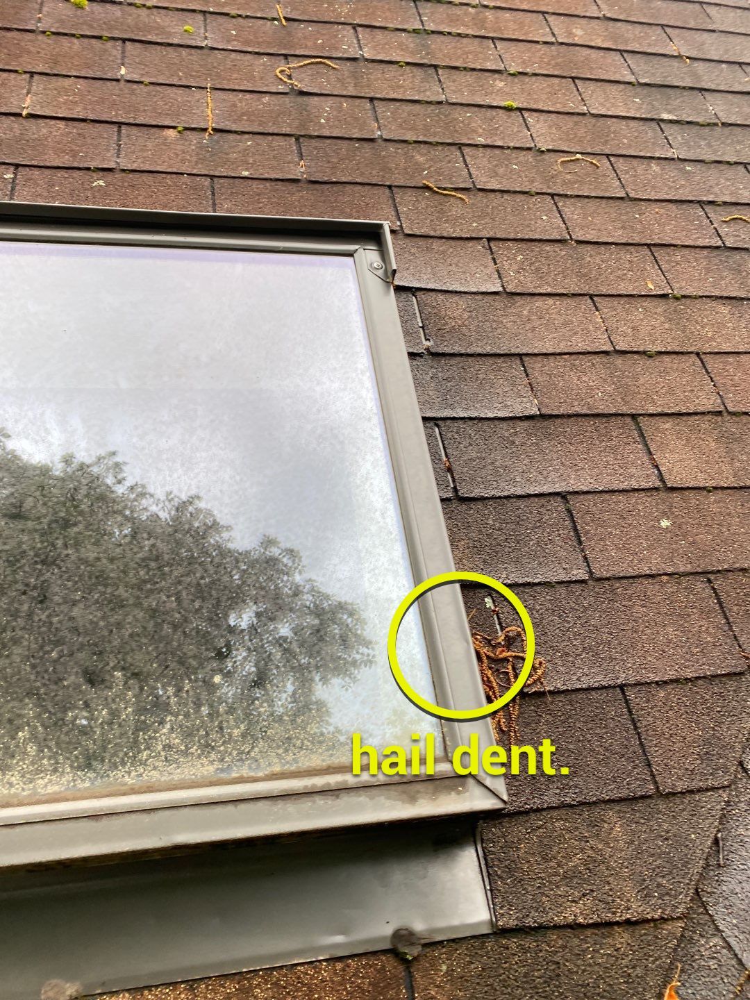 Arlington: CertainTeed Landmark Pro Designer Shingles in Max Def Shenandoah by RM Banning, Inc.