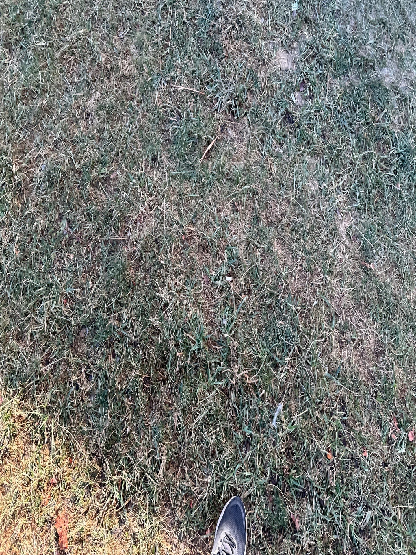 Full exterior Remodel by Cousins Roofing Siding & Decks