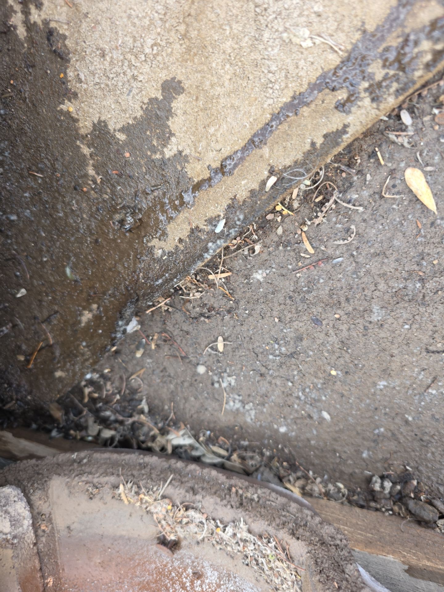 Protect Your Investment: Arizona Roofing Company's Expertise at Work! by Weather-Tite Roofing