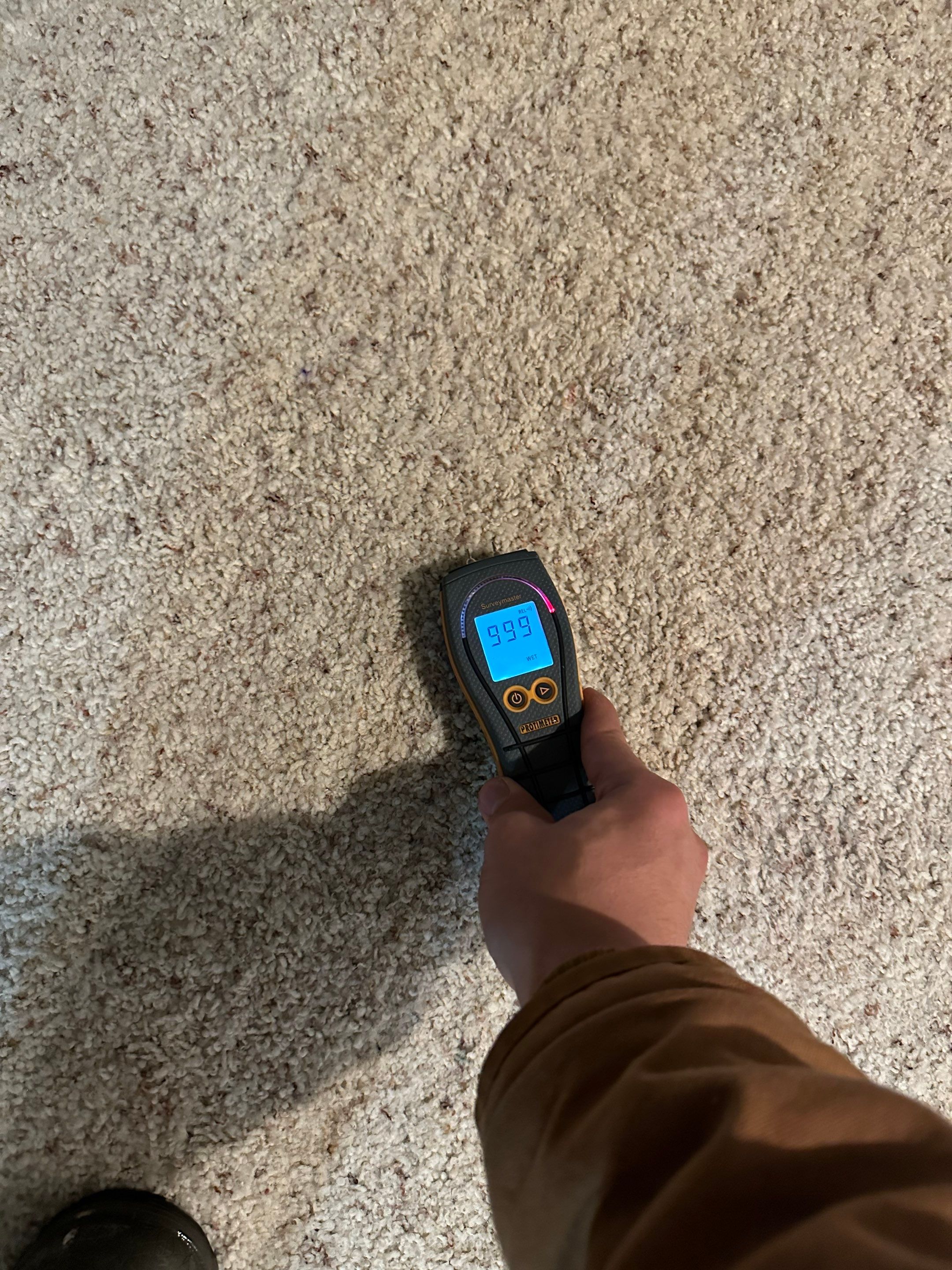 Water Damage in Highlands Ranch by Alpha Restoration 