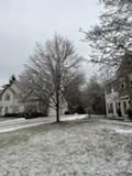 Tree Removal using Tree Removal by Mike Jones & Sons Tree Service LLC 
