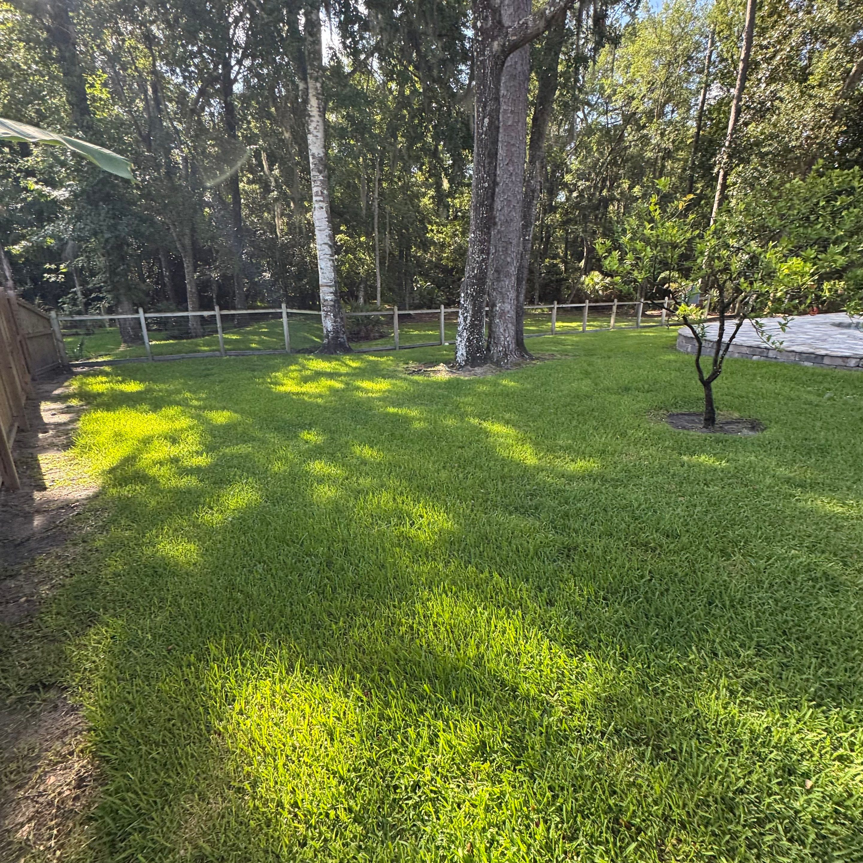 Deerwood Resident | Sod & Bed Design/Plant Installation by ProGreen Services