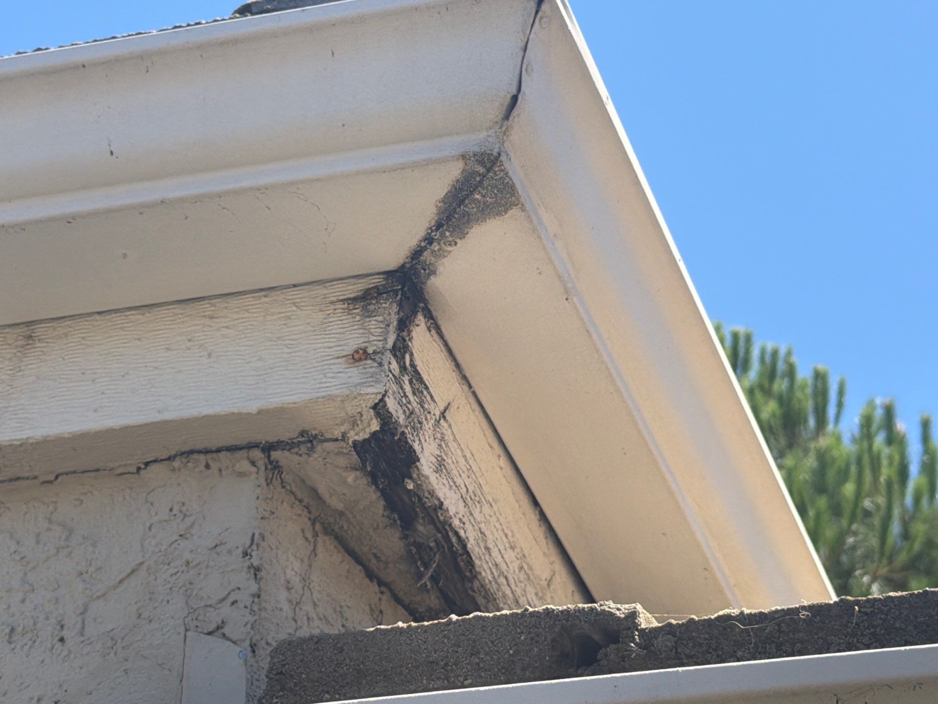 Seamless White Aluminum Gutter Installation and Fascia Maintenance in Vacaville by  H4H Remodeling and Repairs Inc.