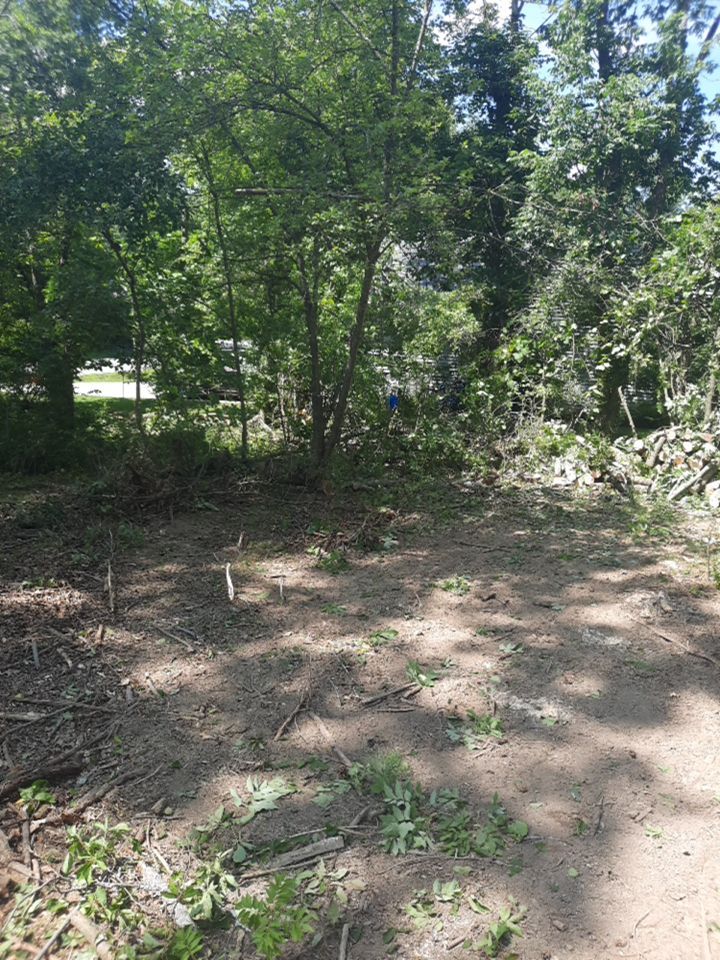 Tree Removal using Tree Removal by Mike Jones & Sons Tree Service LLC 