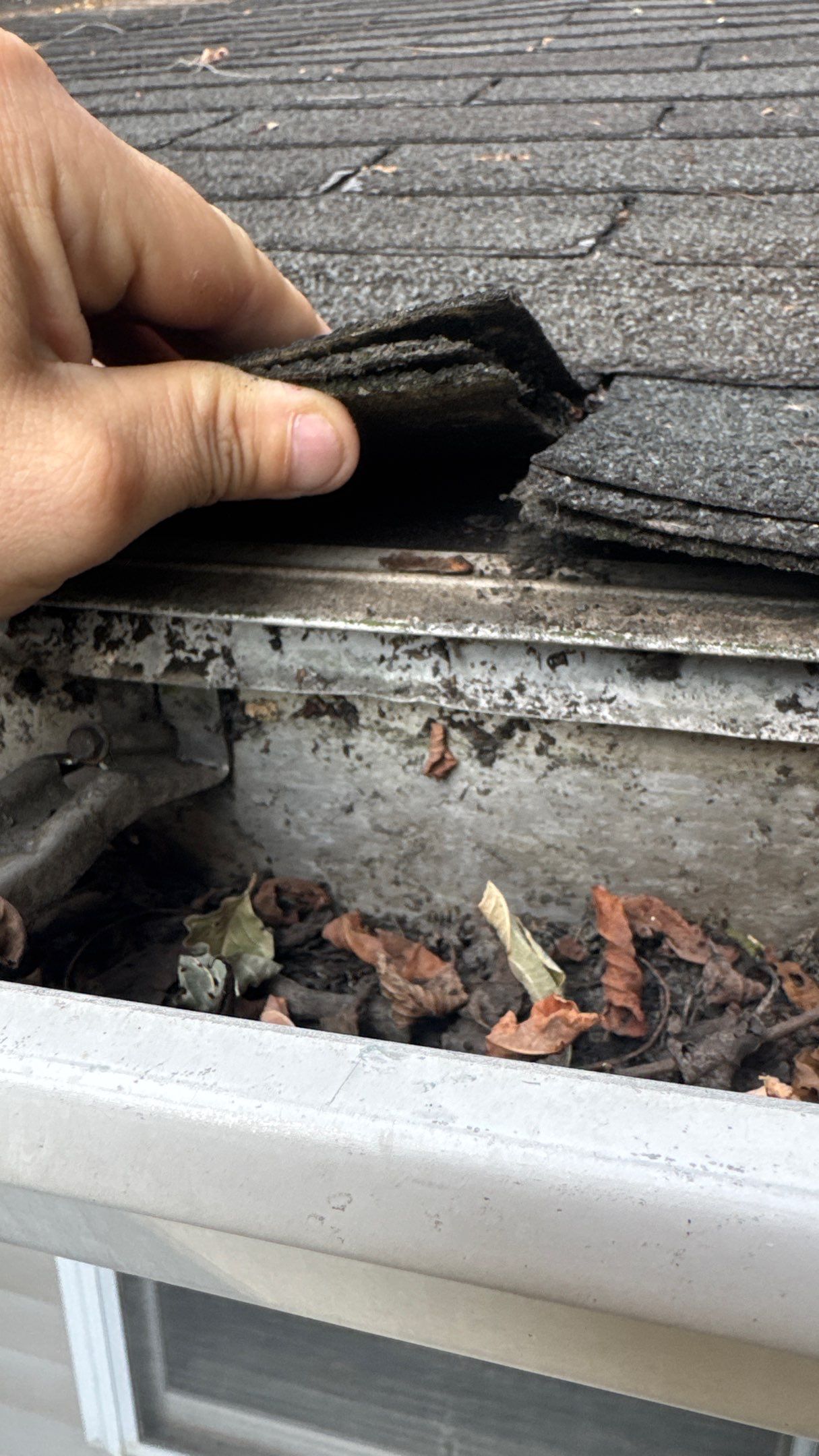 Roof Replacement using Owens Corning Brownwood by 180 Contractors