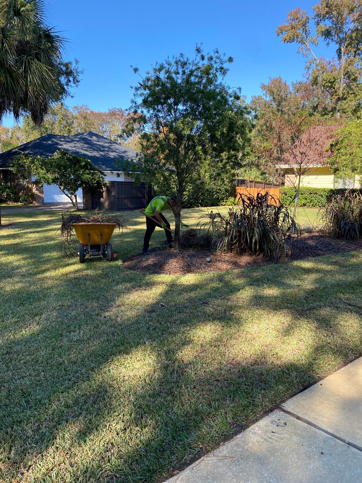 Deerwood Resident | Extreme Clean Up by ProGreen Services