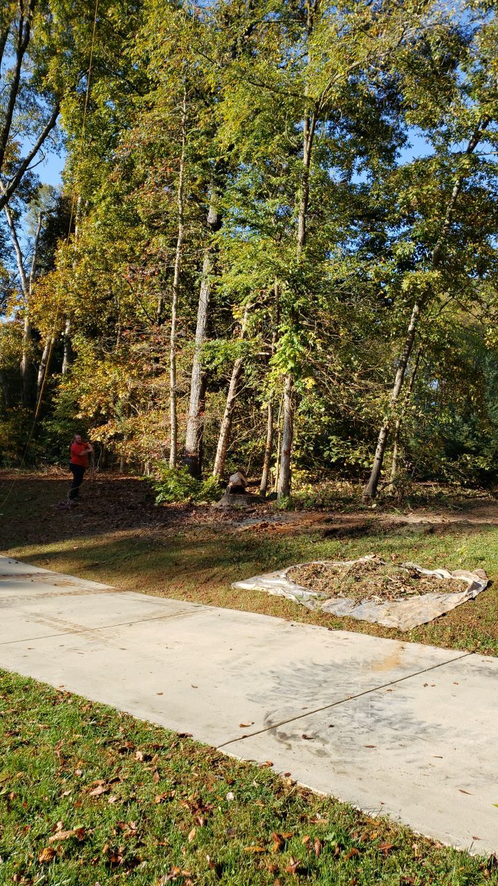 land clearing using machinery by Power Wash Masters LLC