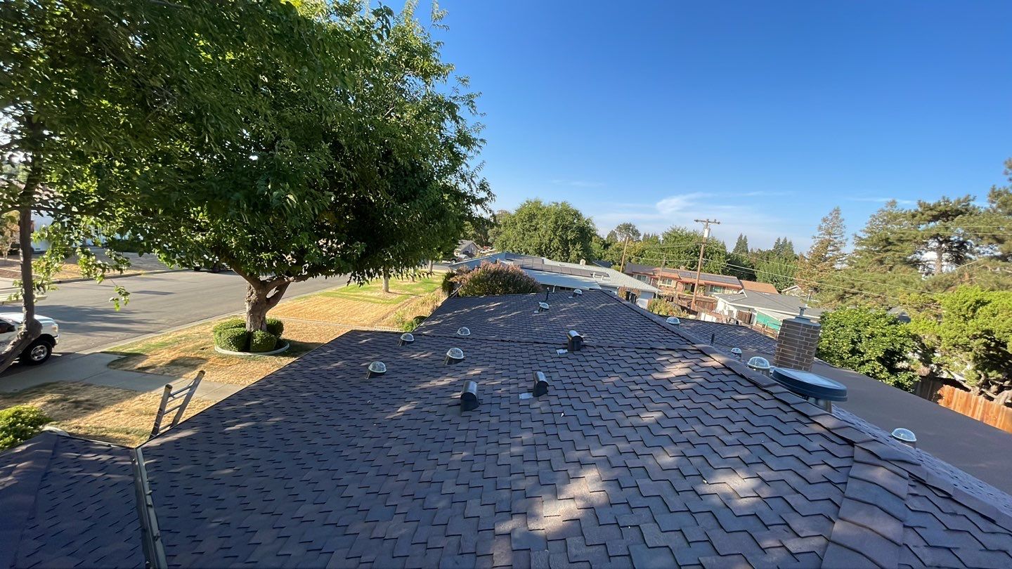 Installation of Certainteed Presidential shingles on residential house by Straight Edge Roofing Inc