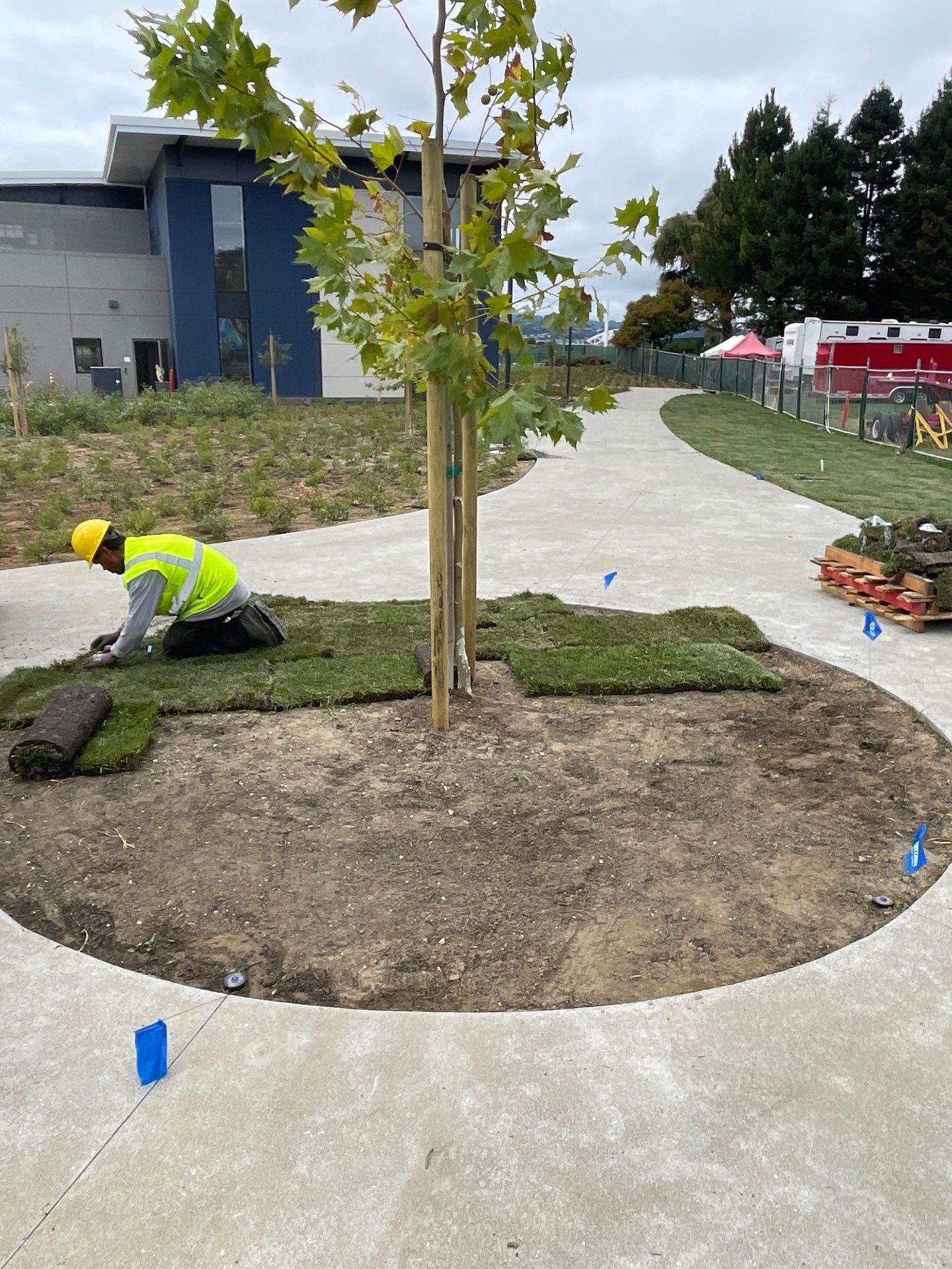 Project in Foster City by A - G Sod Farms