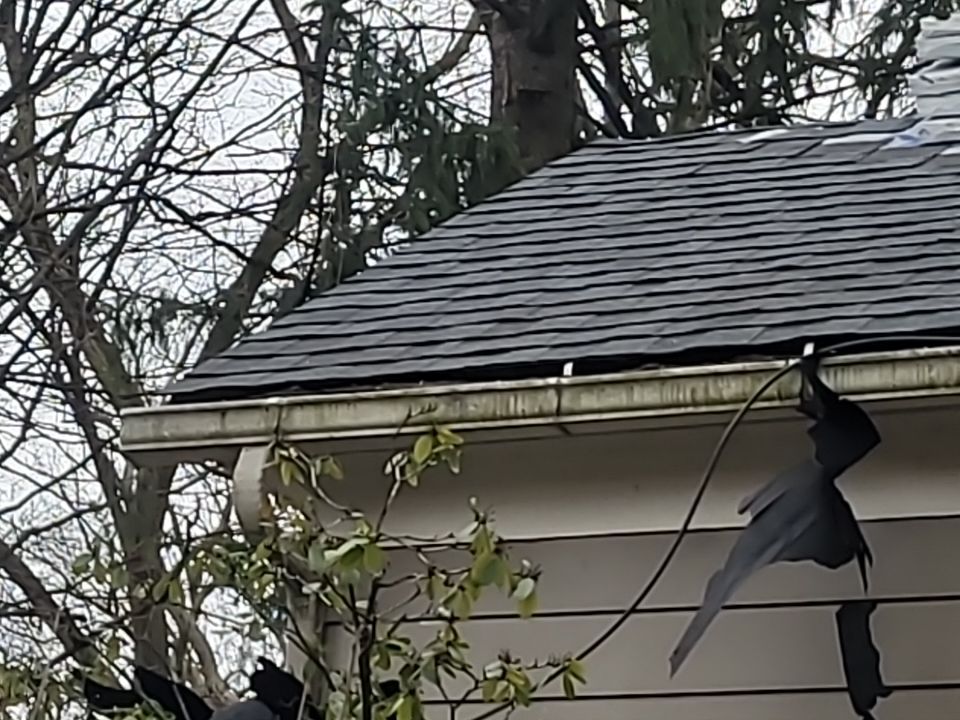 ATLAS PINNACLE COLOR: PRISTINE PEWTER DRIP EDGE: BLACK by Eagle Eye Roofing