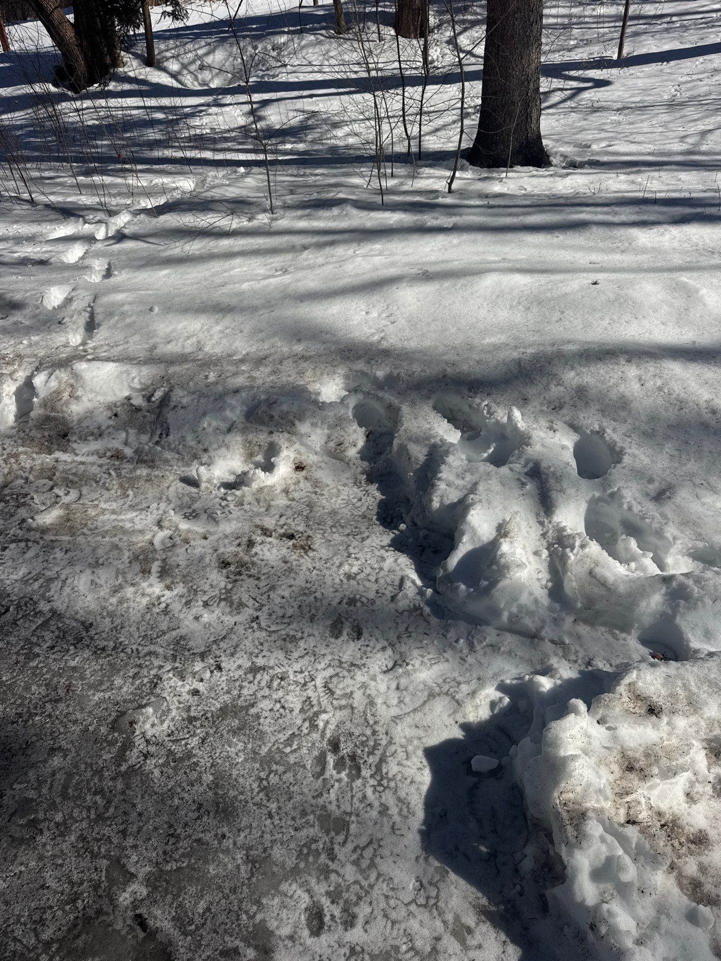 Snow/Ice Belt & Ice Dam Removal Project in Woburn by Mighty Dog Roofing of Greater Middlesex County