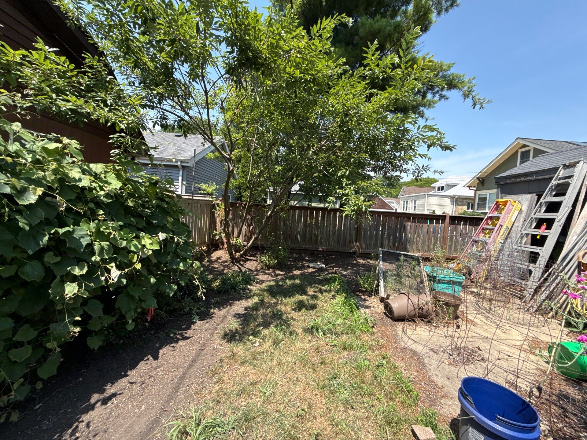 Donna L. - Arlington Heights, IL by A&N